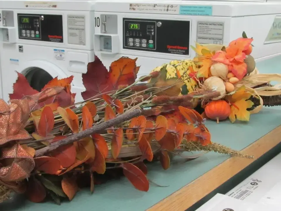 The Laundry Club - Image 9