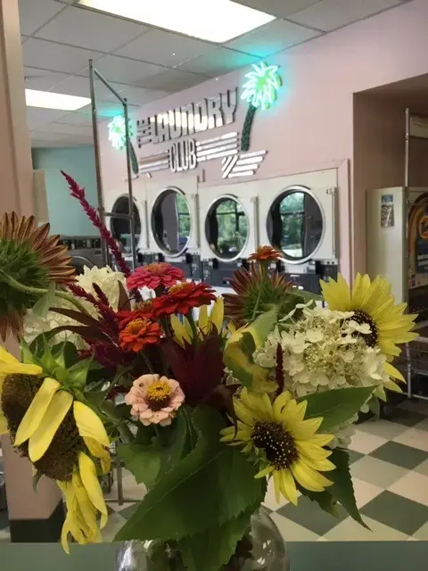 The Laundry Club - Image 20