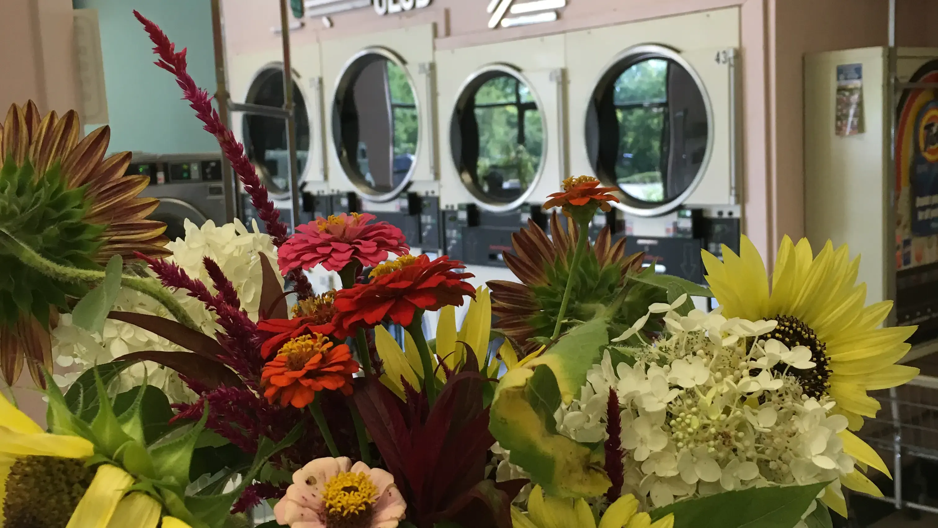 The Laundry Club - Image 19