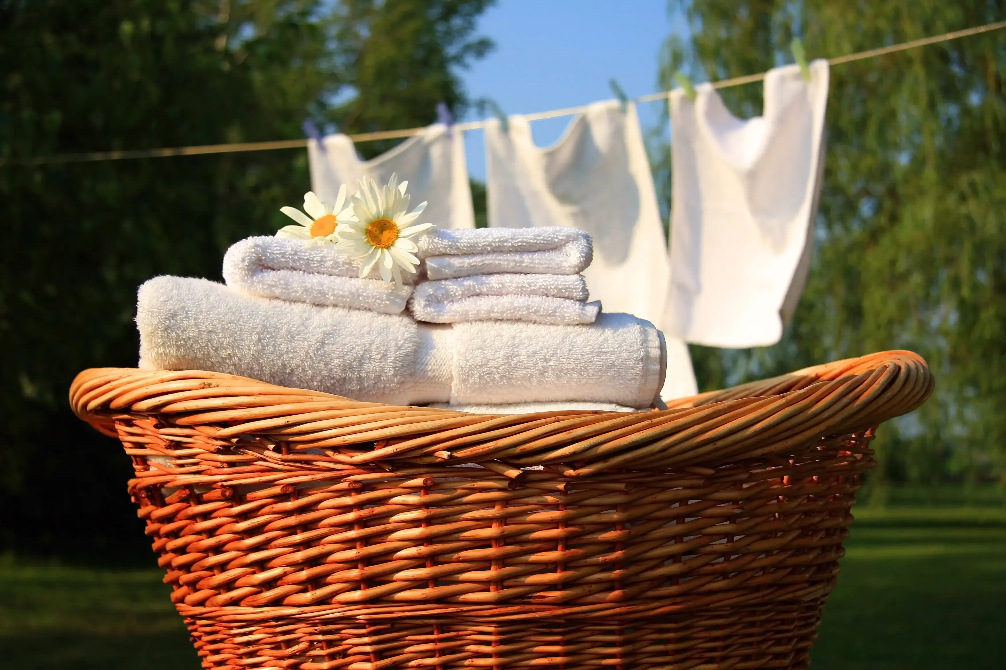 The Laundry Craft - Image 19