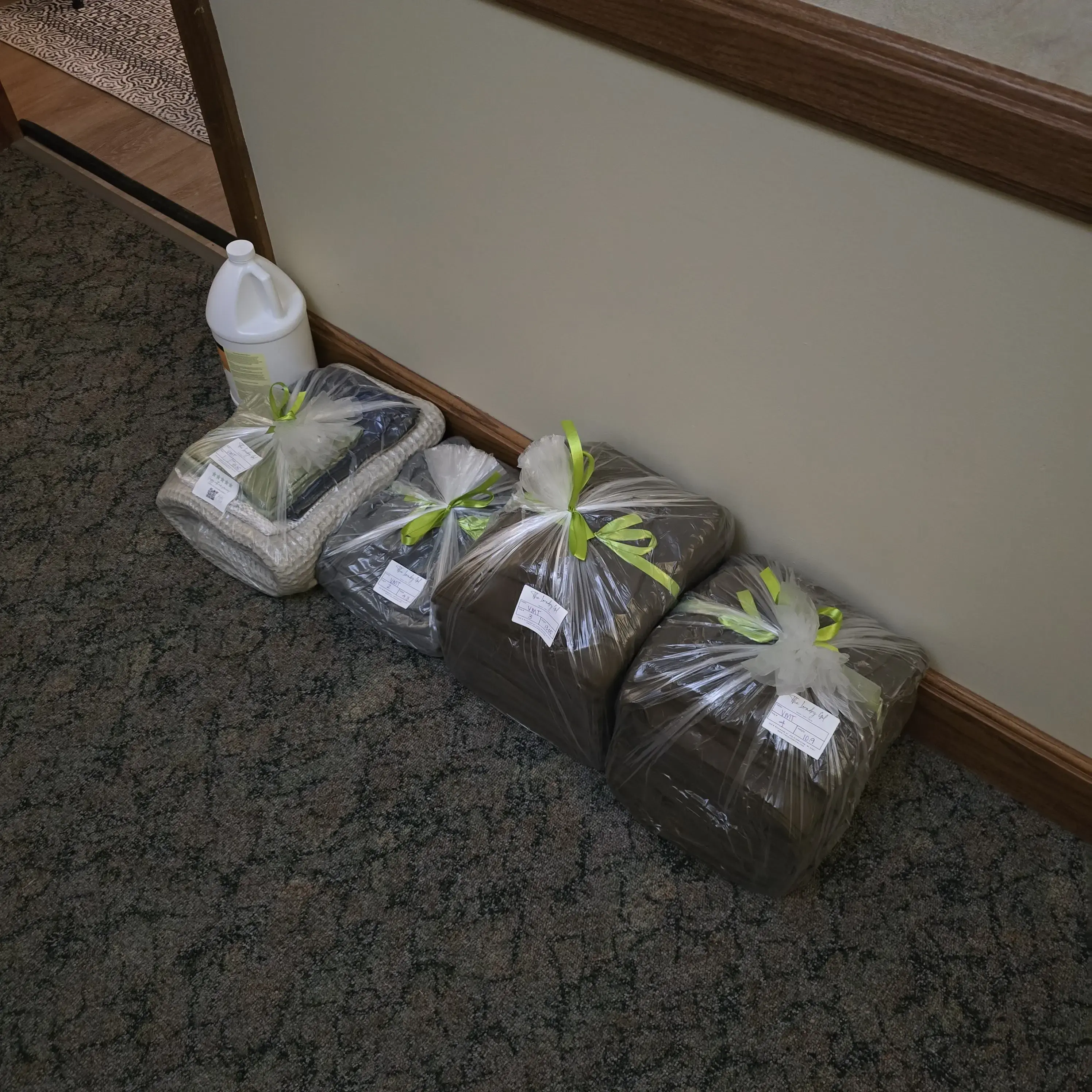 The Laundry Gal - Image 10