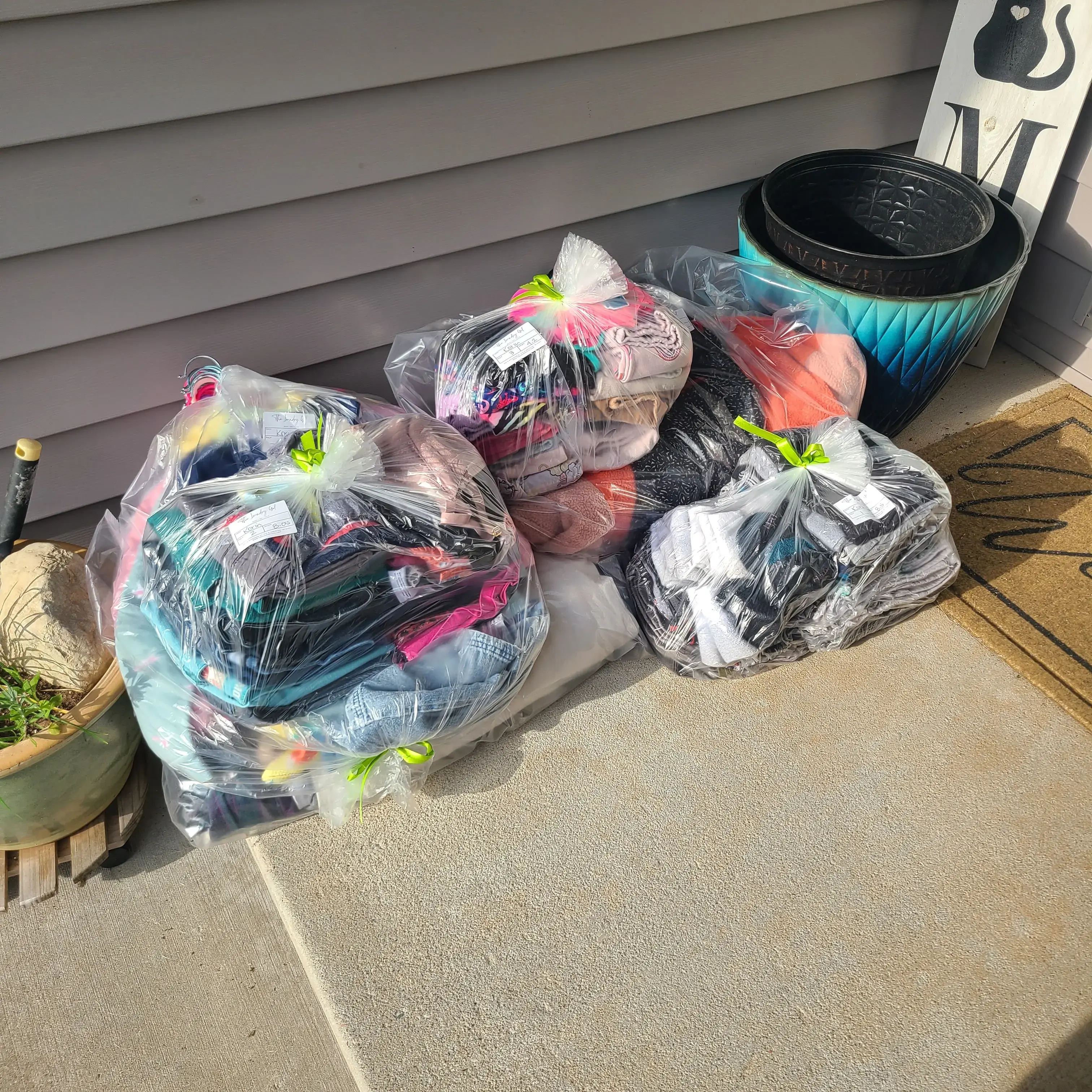 The Laundry Gal thumbnail 5