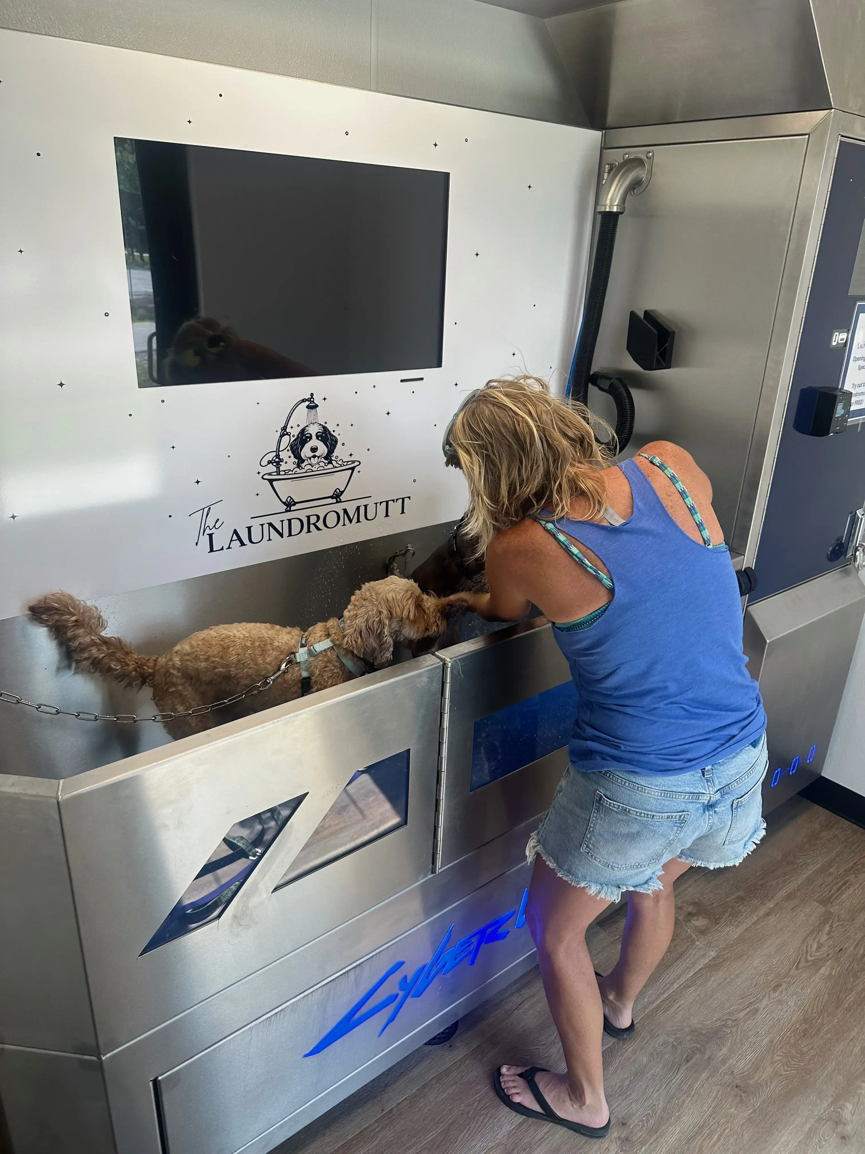 The Laundry Lounge thumbnail 5