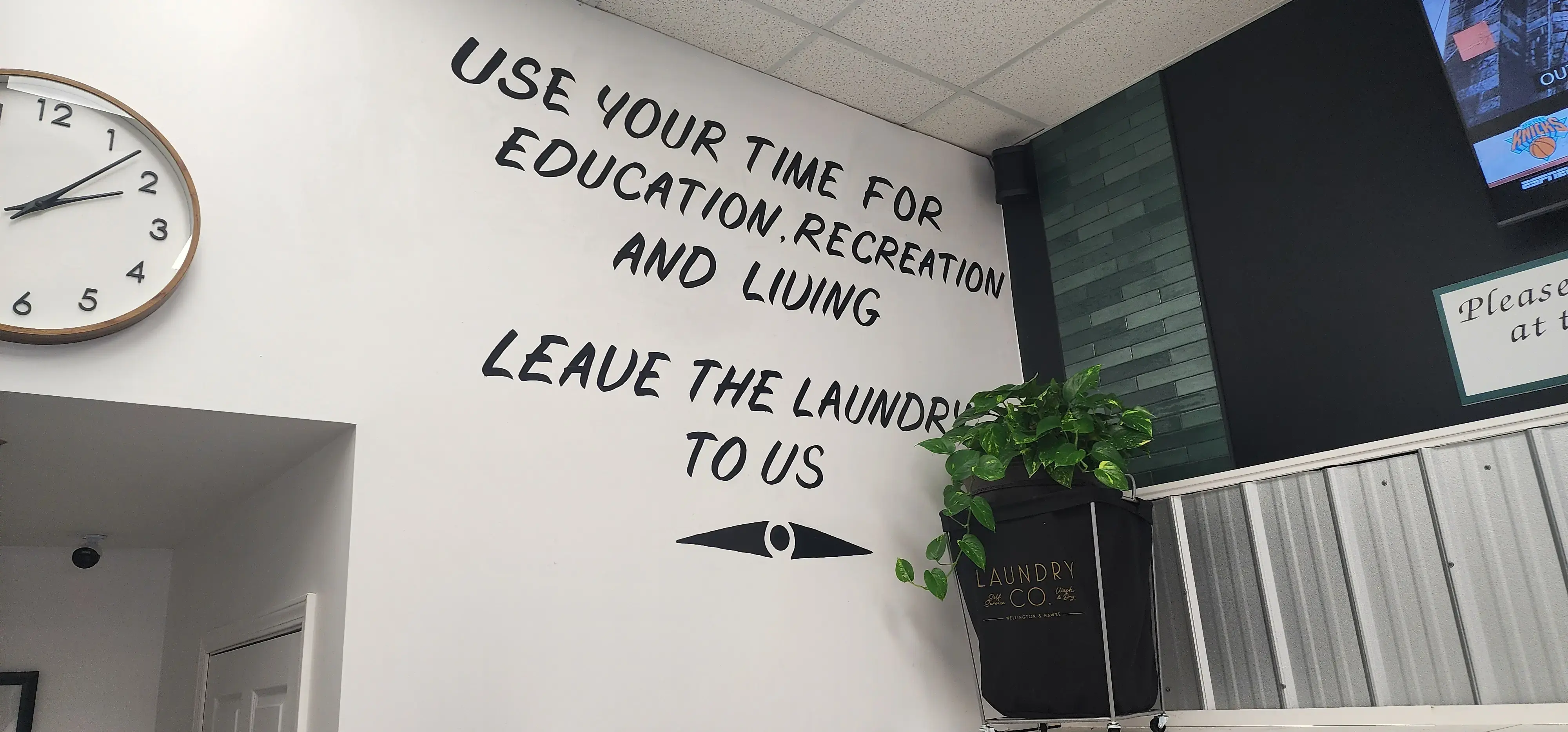 The Laundry Lounge - Image 4