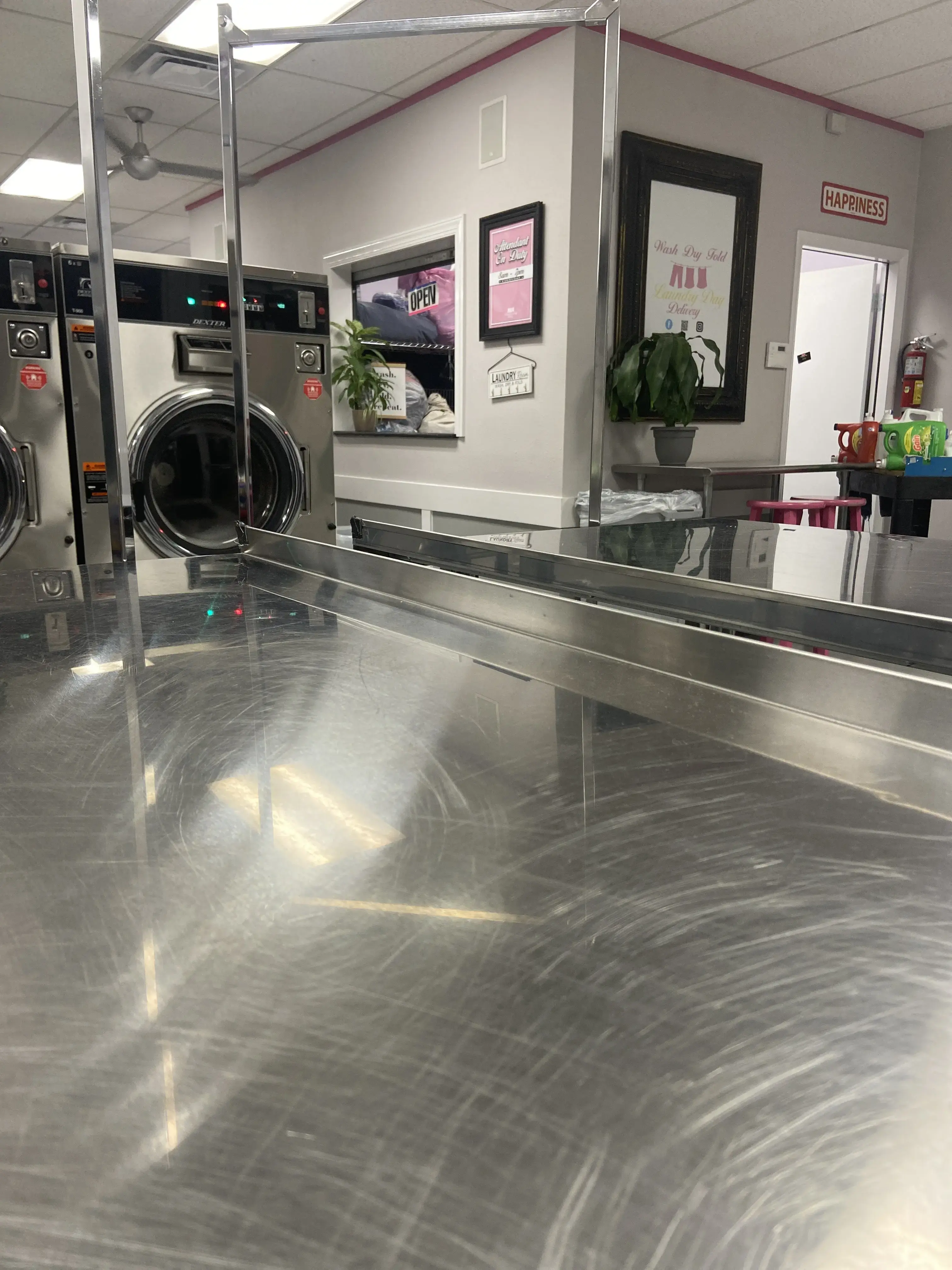 The Laundry Magician - Image 11