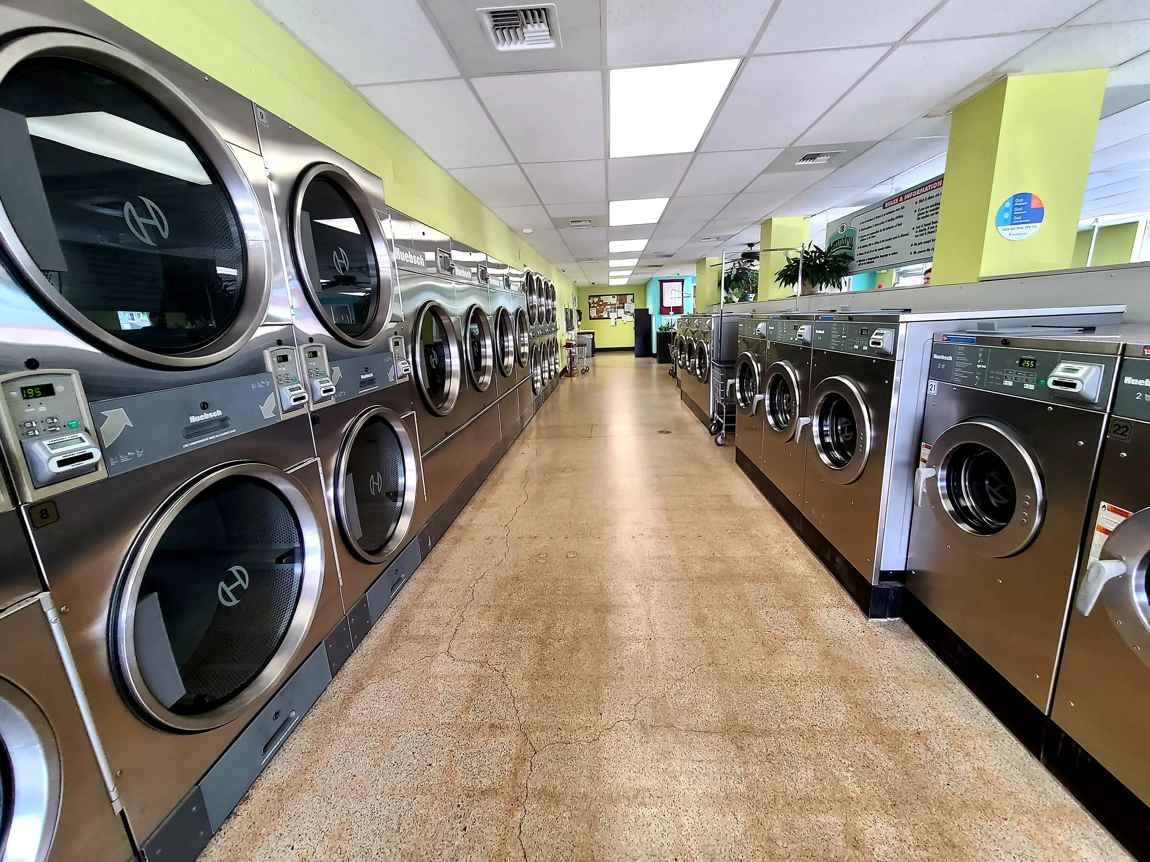 The Laundry Room - Ash - Image 3