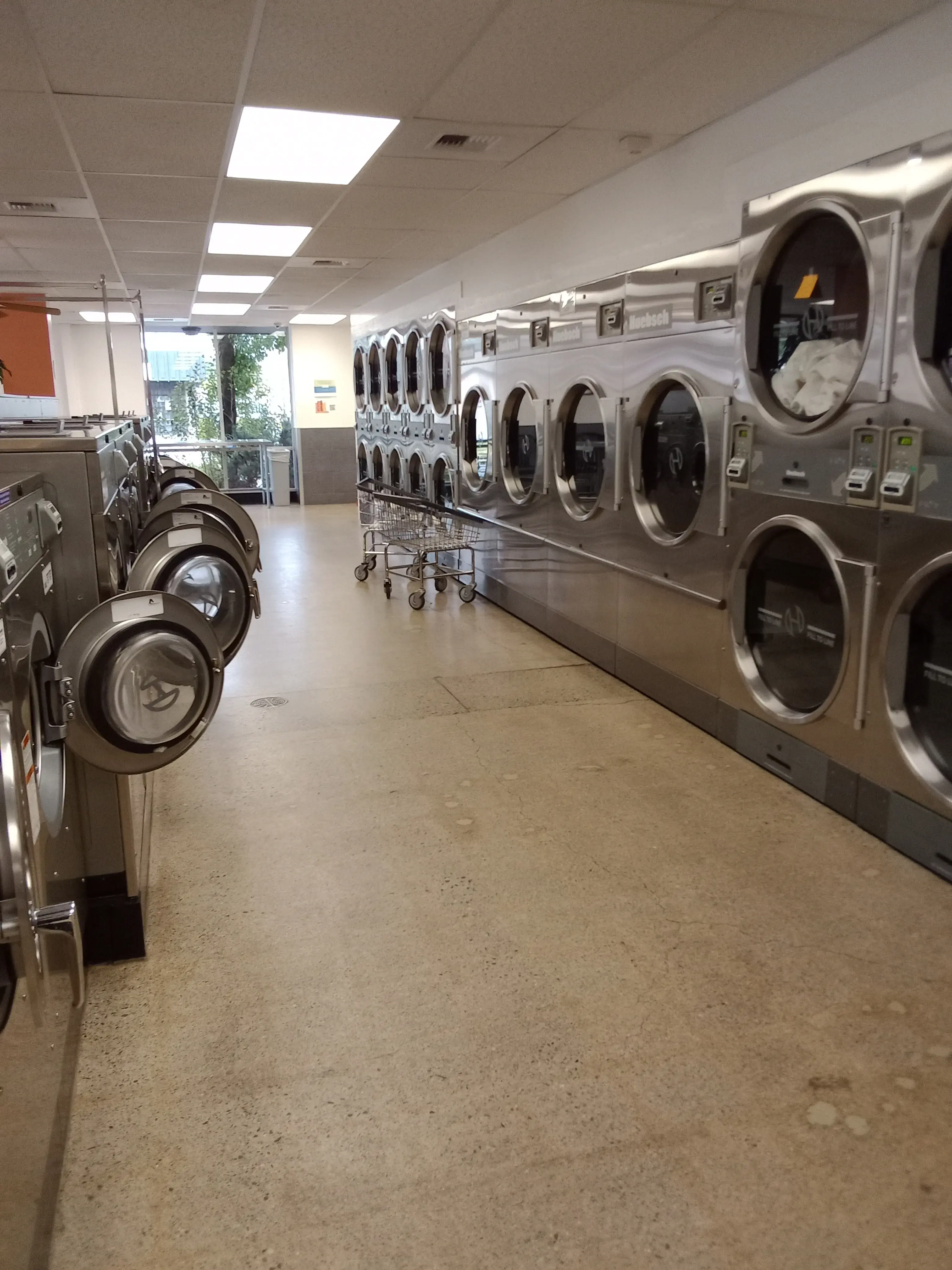 The Laundry Room - Ash thumbnail 2