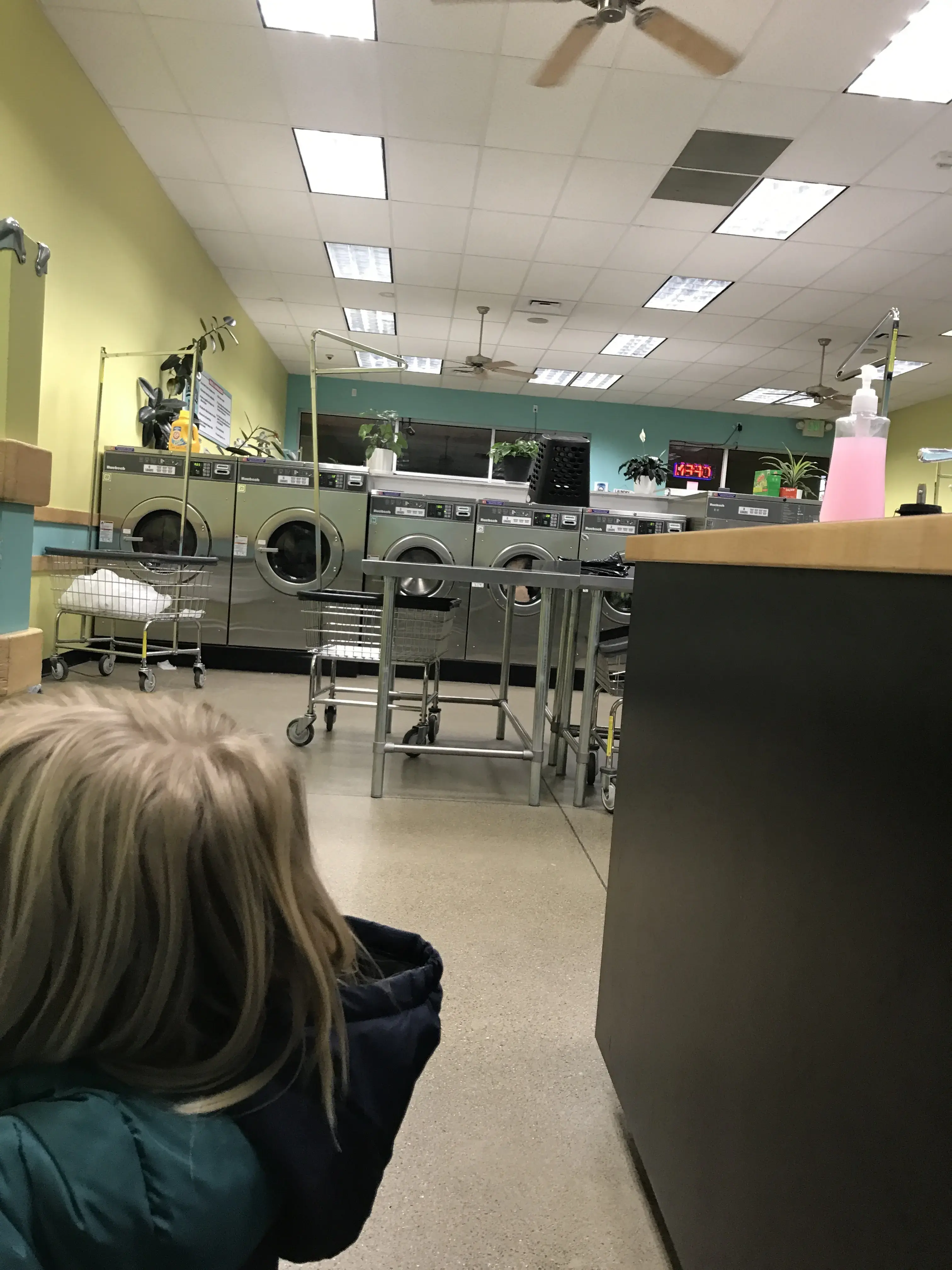 The Laundry Room - Nevada - Image 5