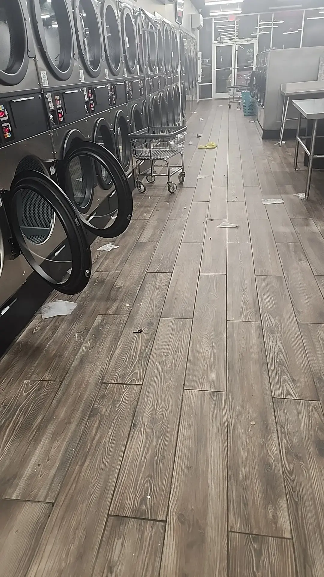 The Laundry Room - Image 6