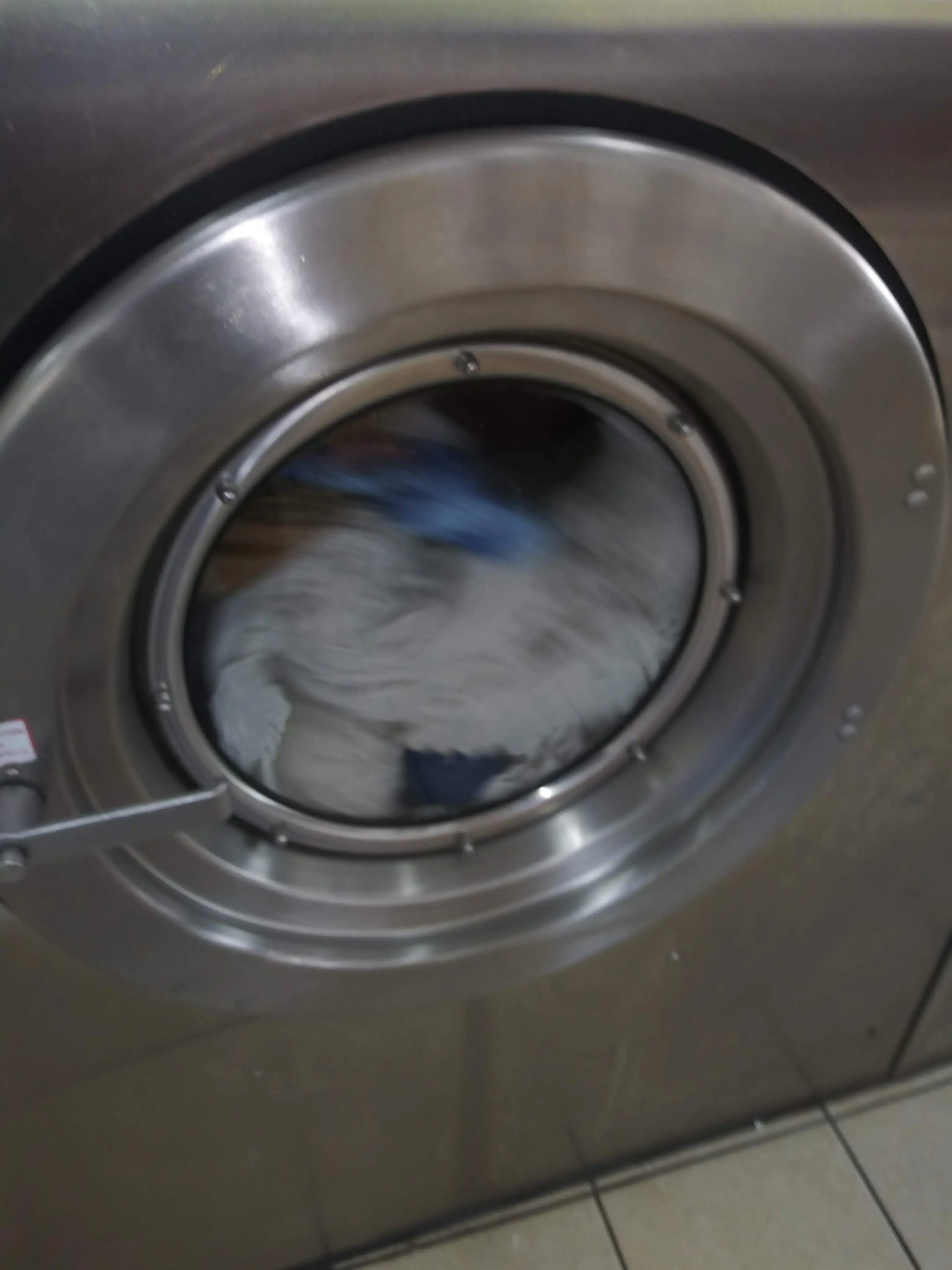 The Laundry Room - Image 7