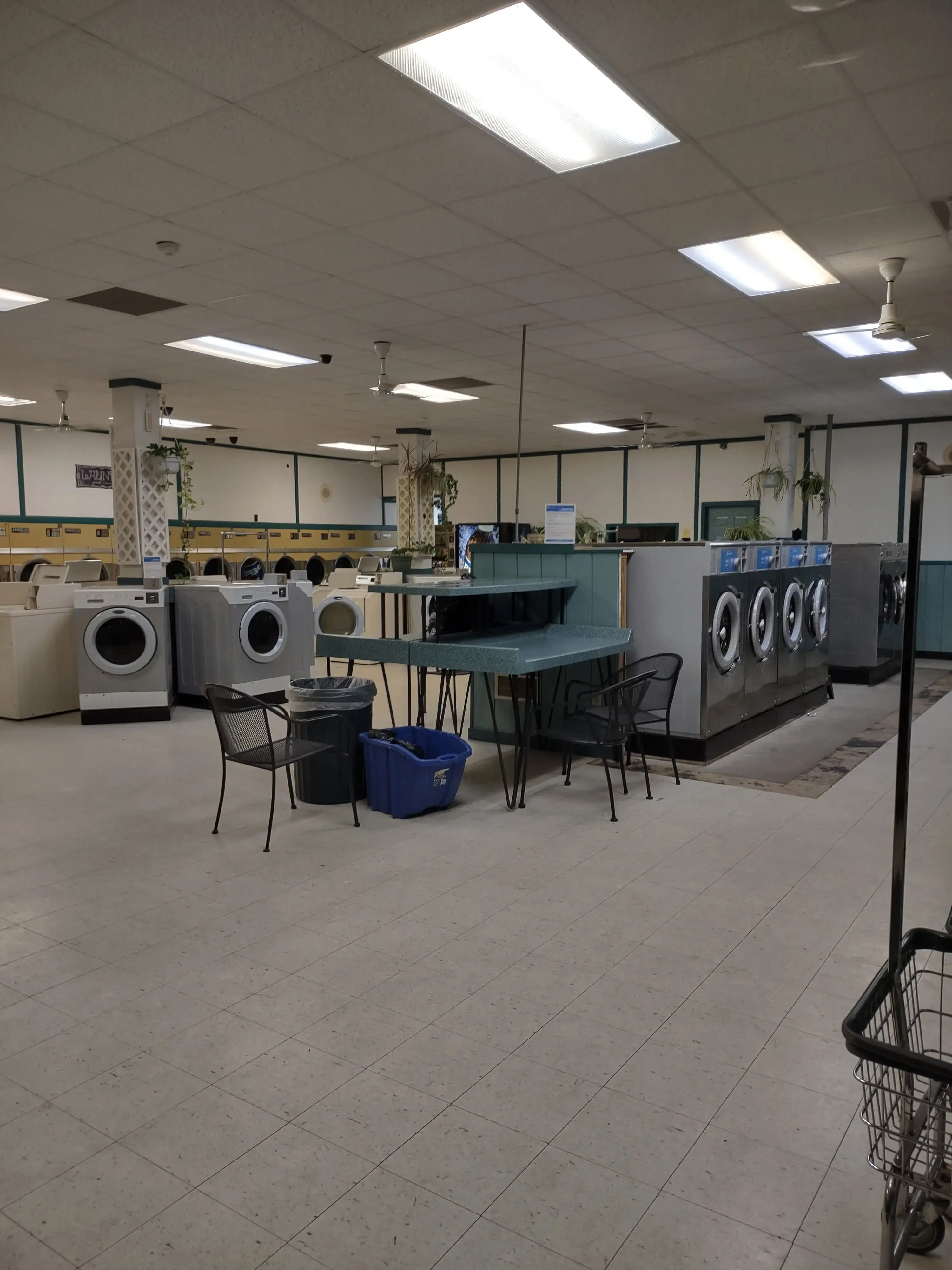The Laundry Room - Image 2