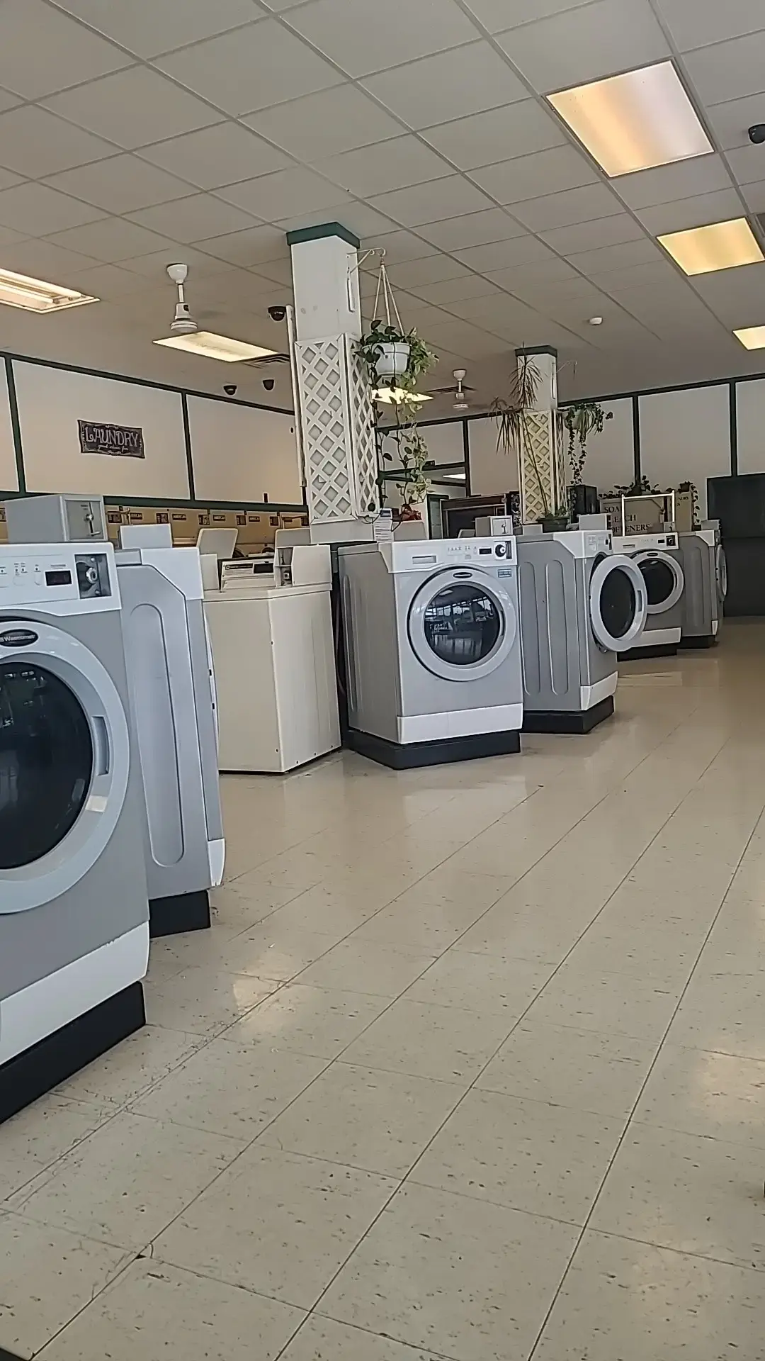 The Laundry Room - Image 10