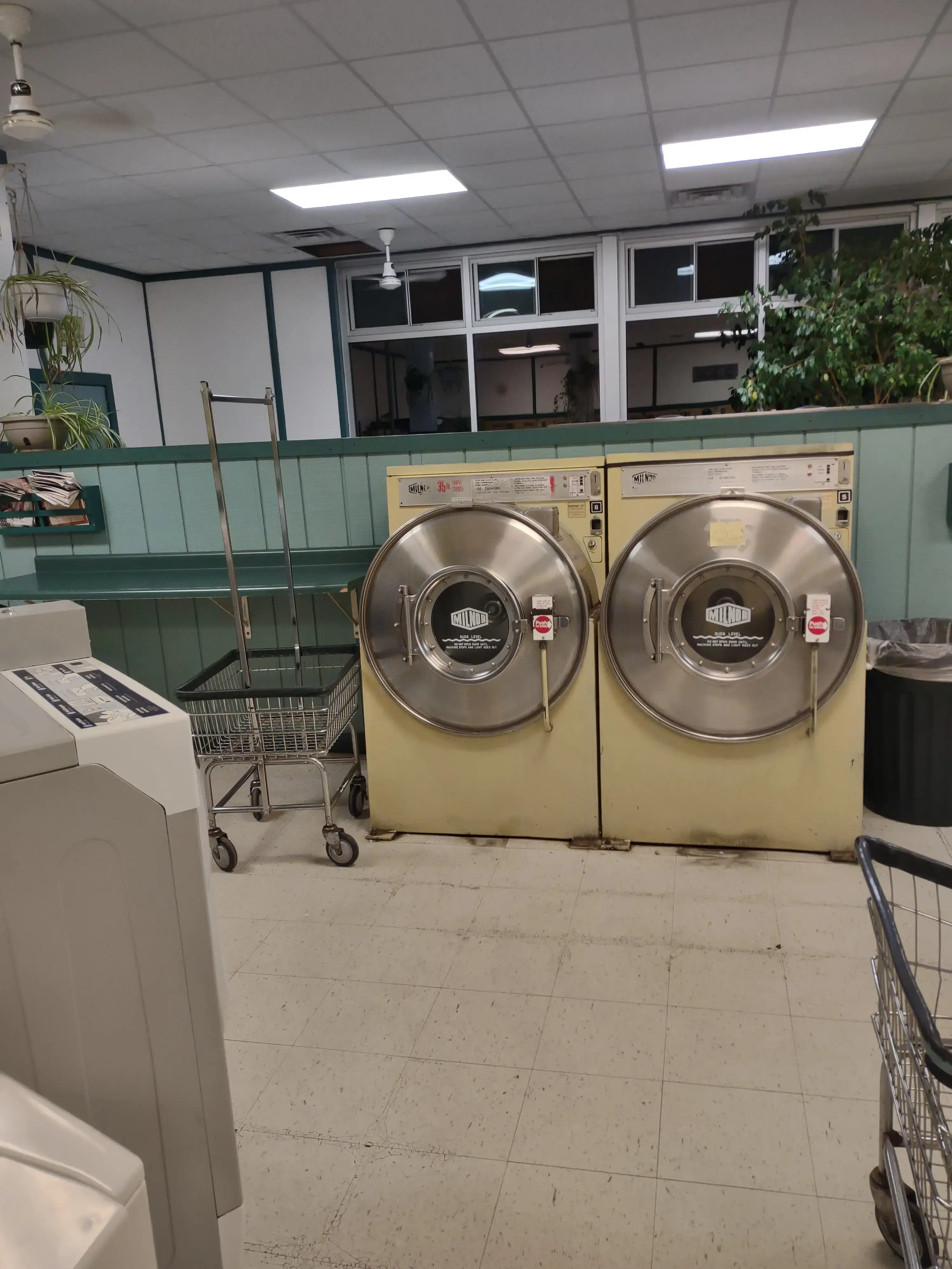 The Laundry Room - Image 8