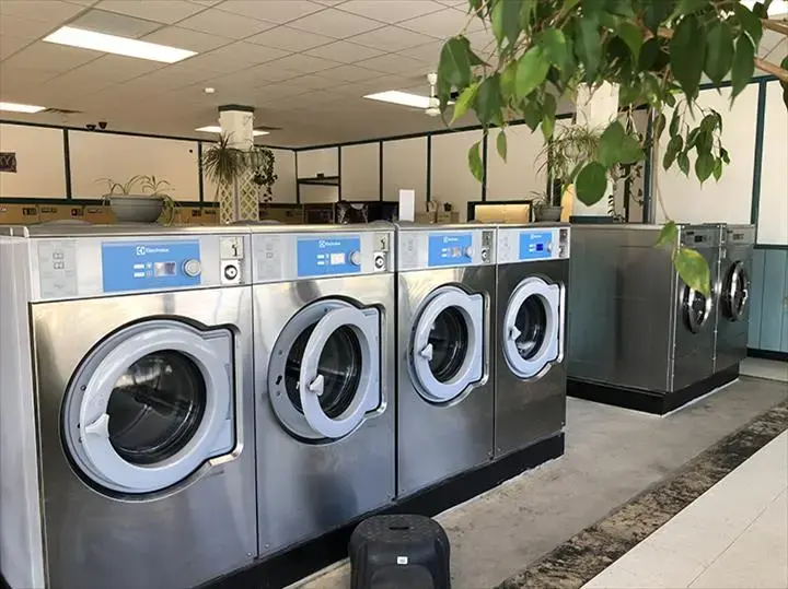 The Laundry Room - Image 6