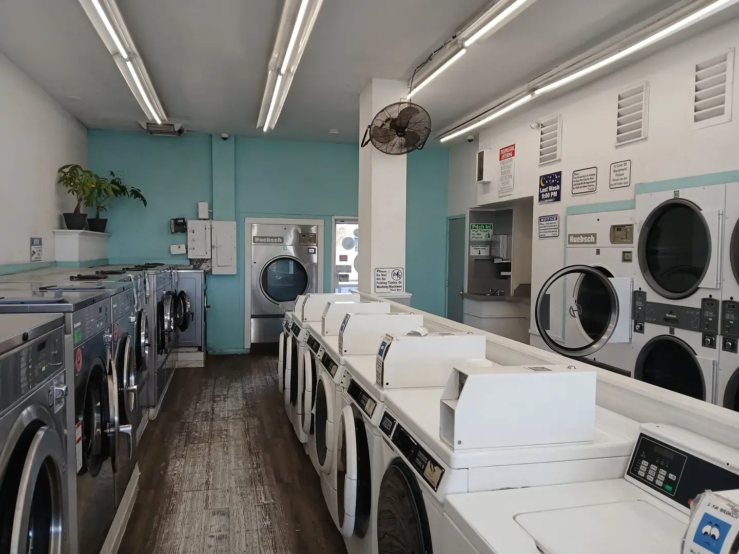 The Laundry Room (formerly LaunderAll) - Image 3