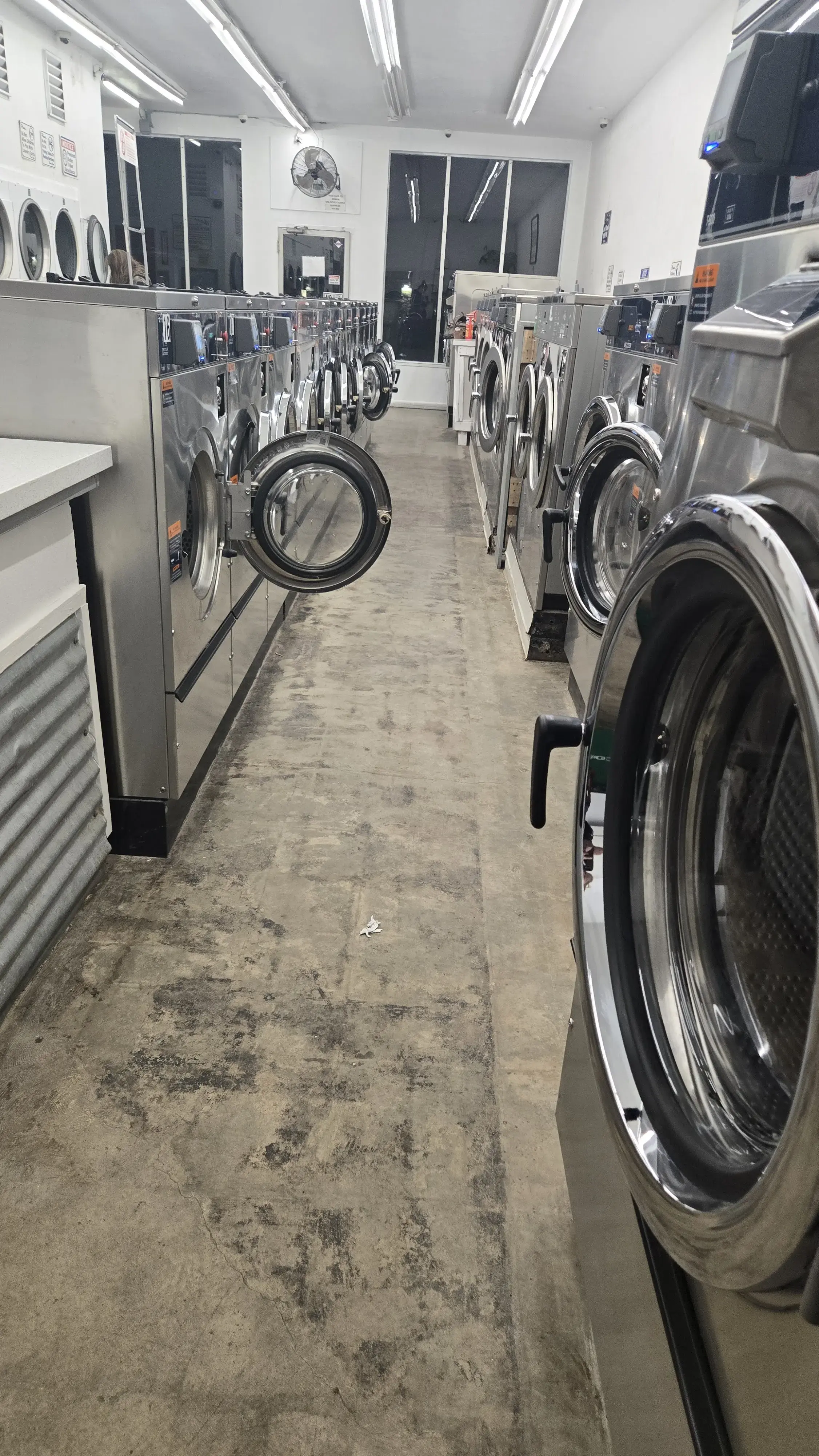 The Laundry Room (formerly LaunderAll) - Image 11