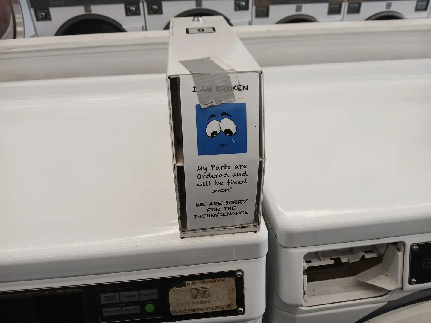 The Laundry Room (formerly LaunderAll) thumbnail 19