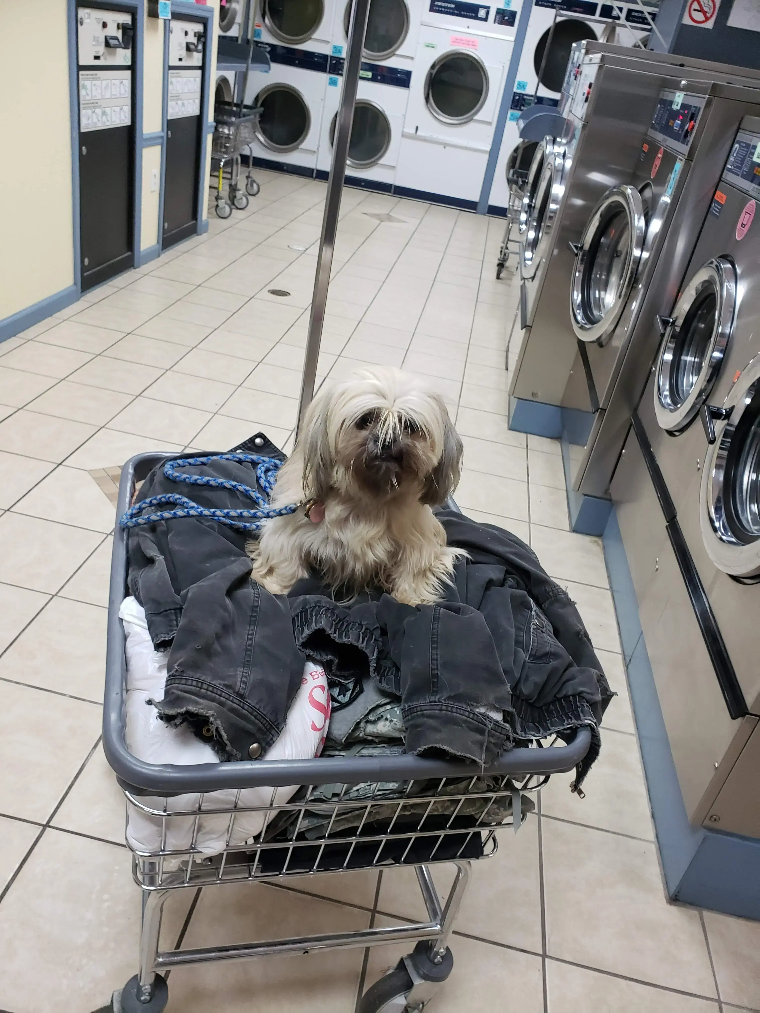 The Laundry Room II - Image 10