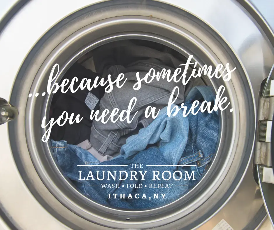 The Laundry Room - Image 6