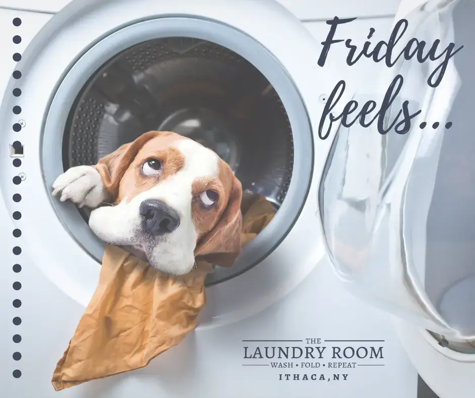 The Laundry Room thumbnail 8