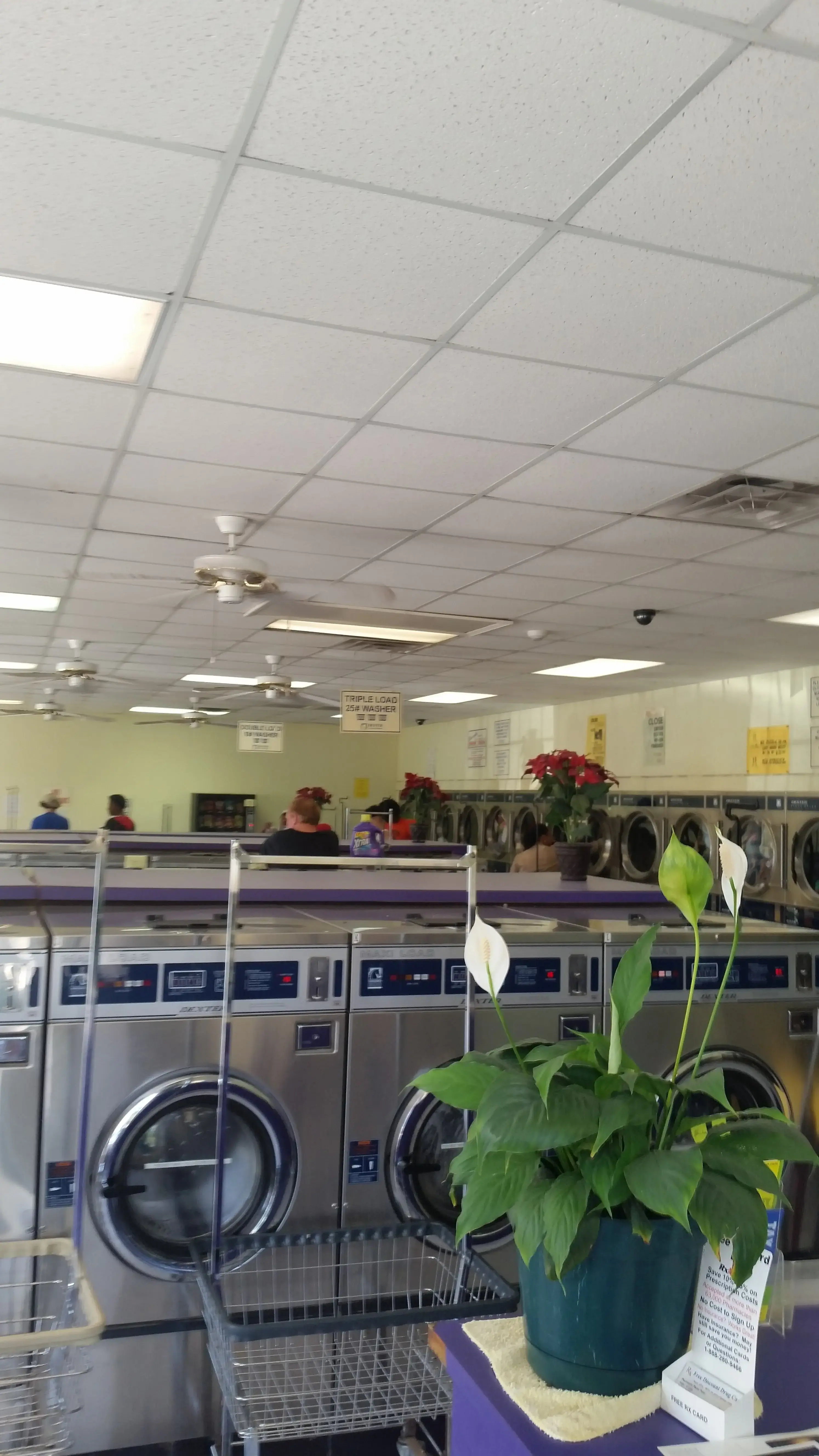 The Laundry Room thumbnail 7