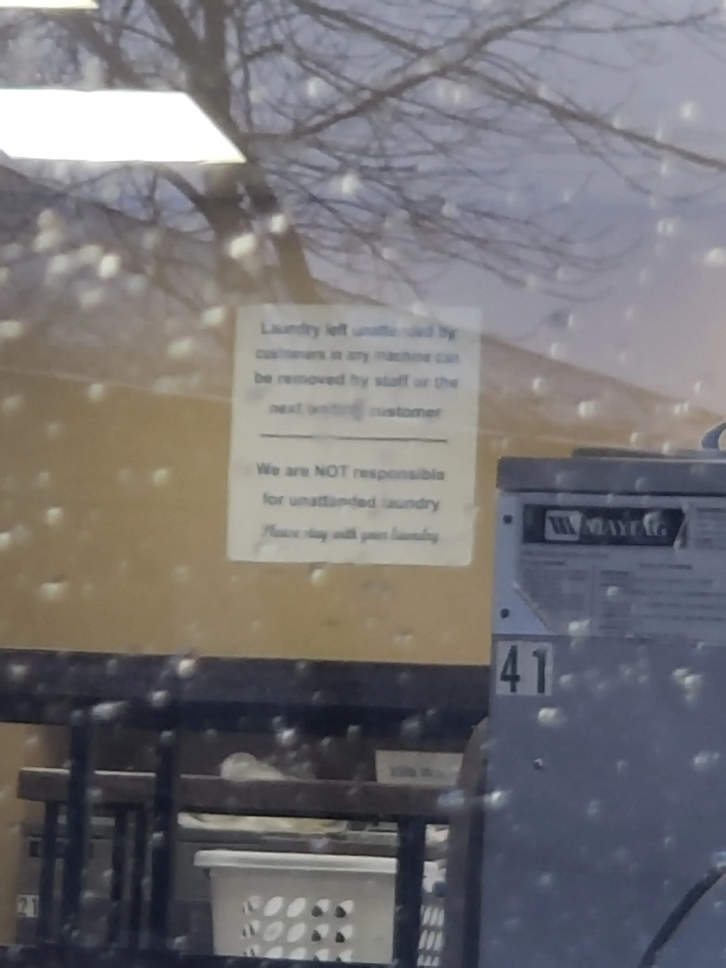 The Laundry Room - Image 11