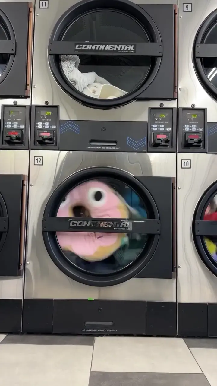 The Laundry Room of Atwater Village thumbnail 15