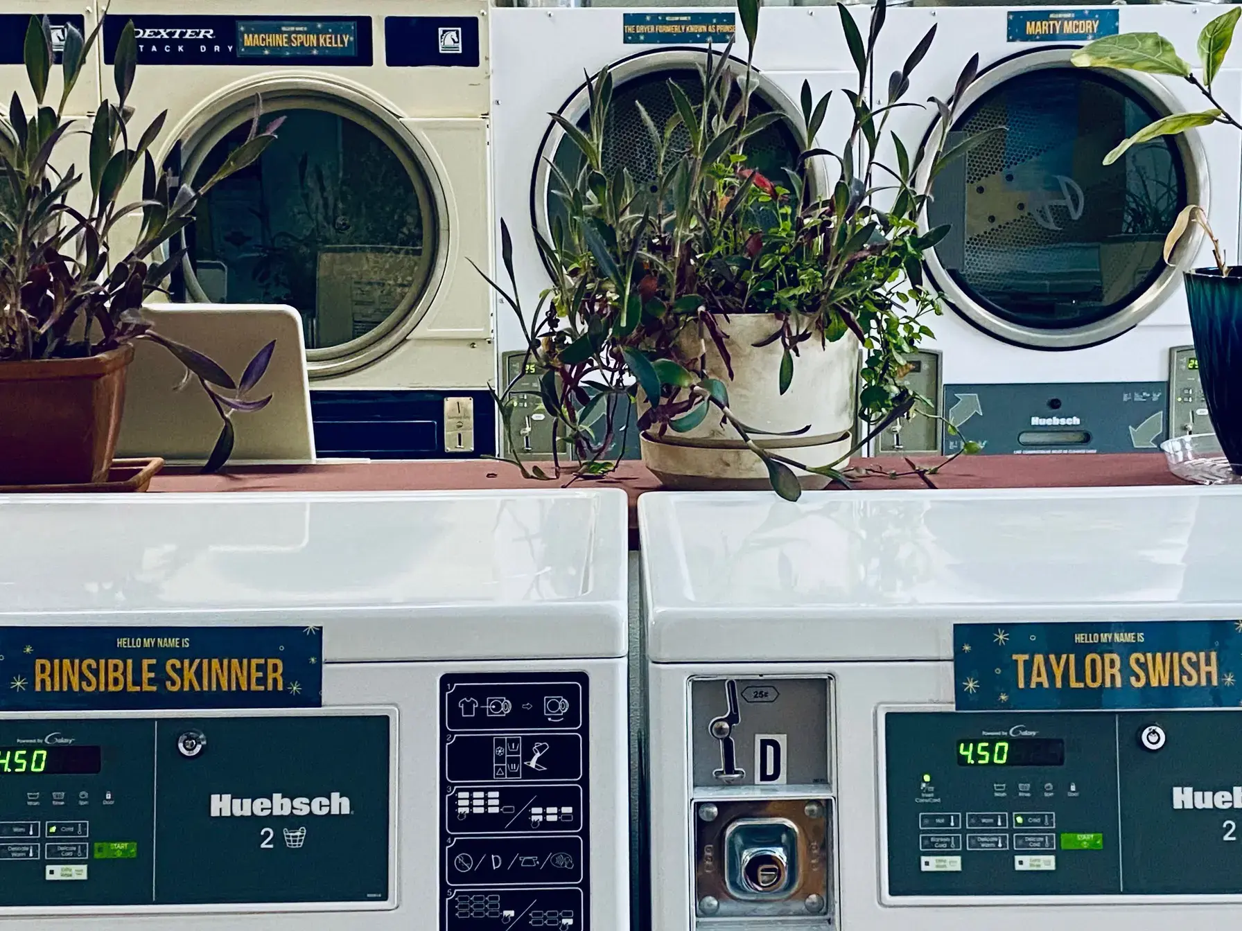 The Laundry Room of Ely thumbnail 14