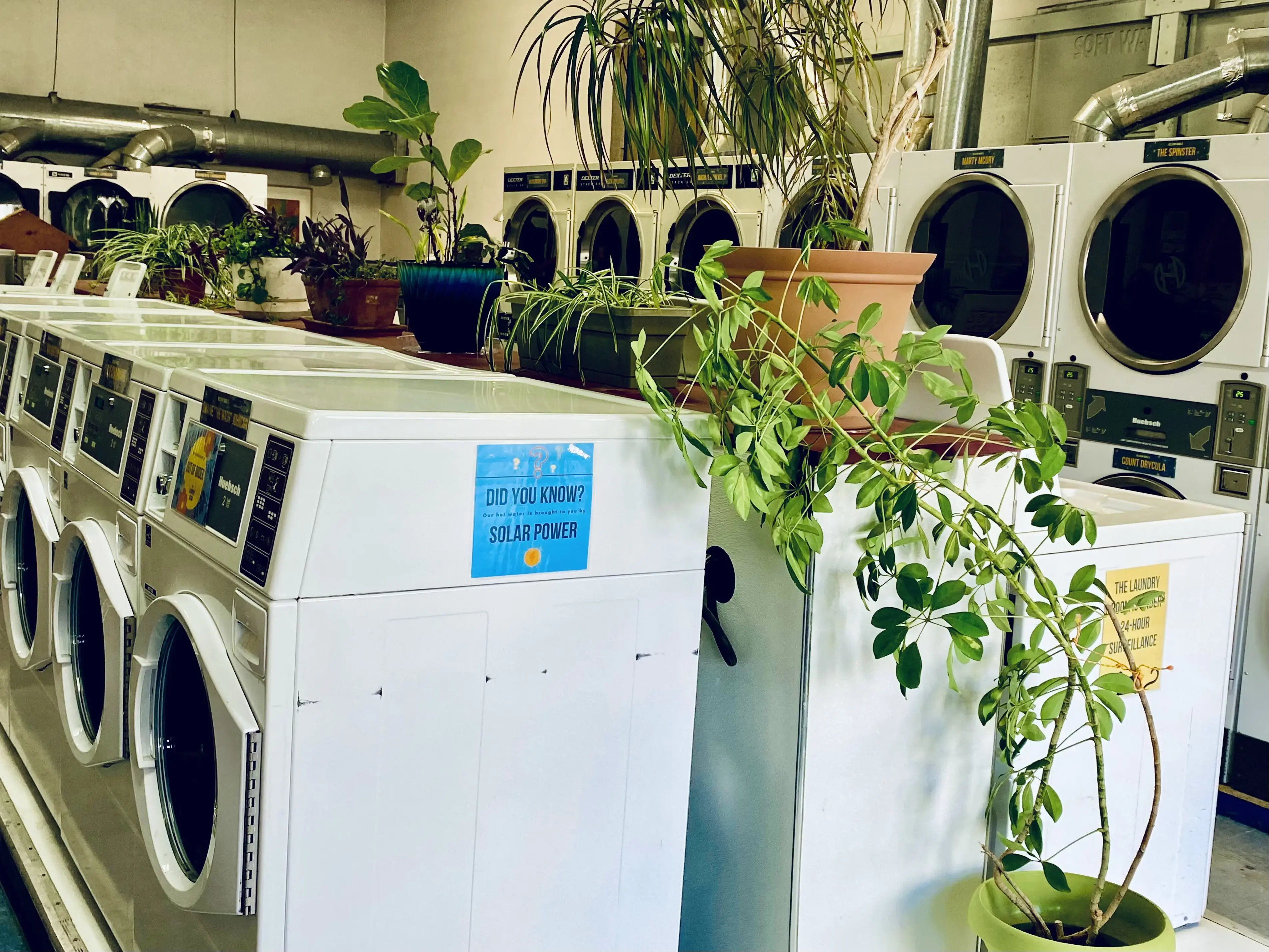 The Laundry Room of Ely - Image 18