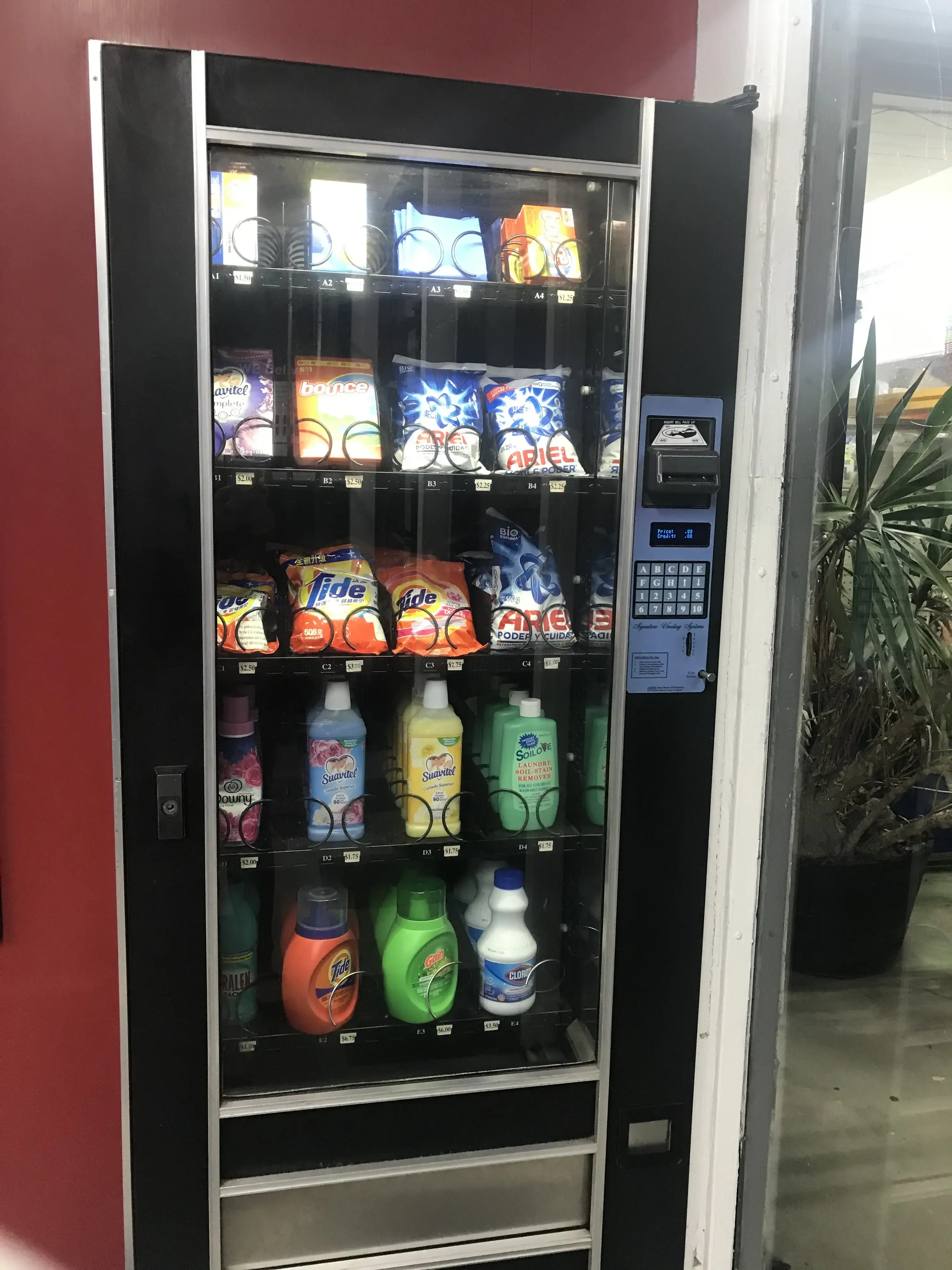 The Laundry Room of Palms - Image 15