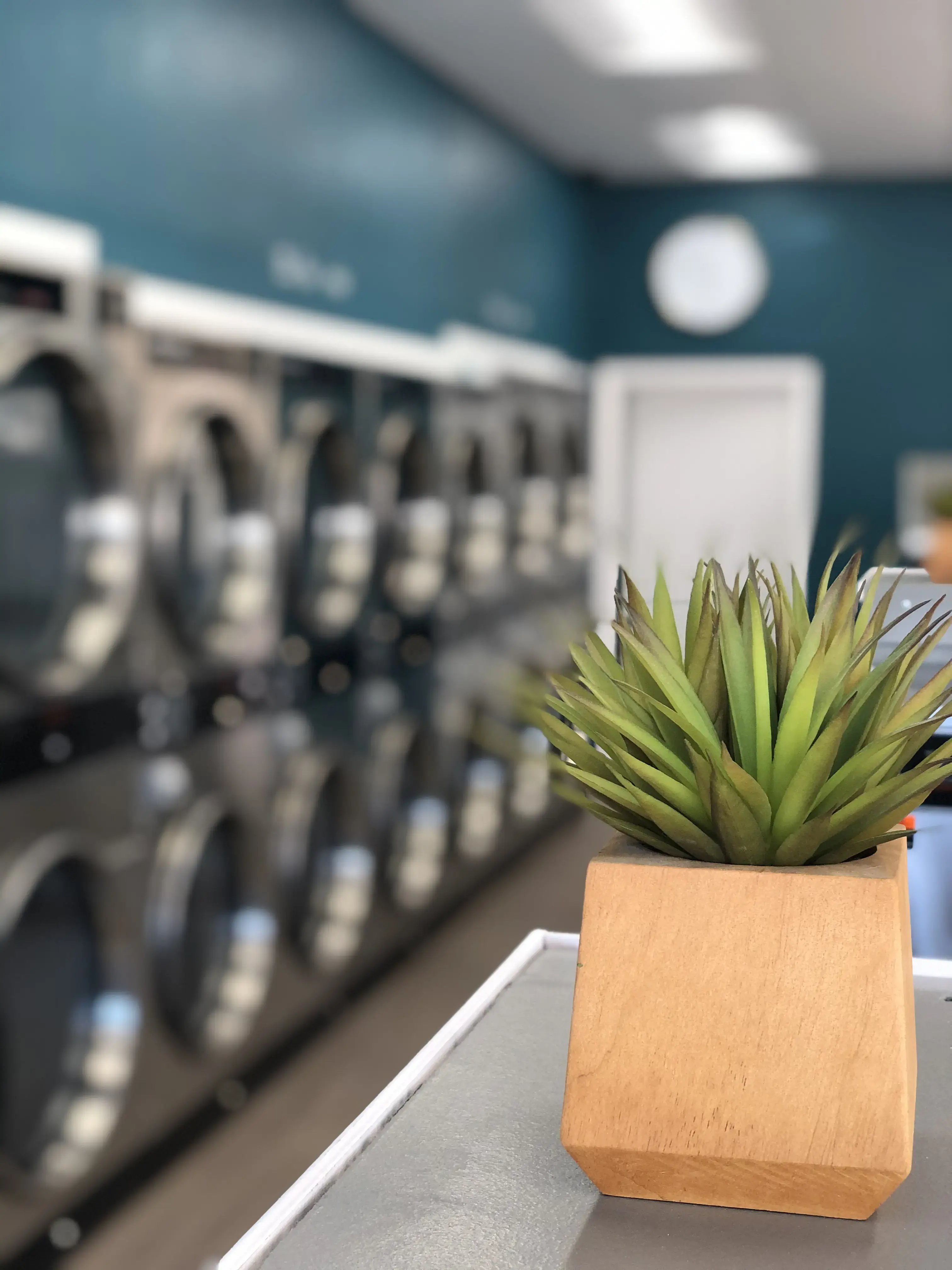 The Laundry Room - Image 15