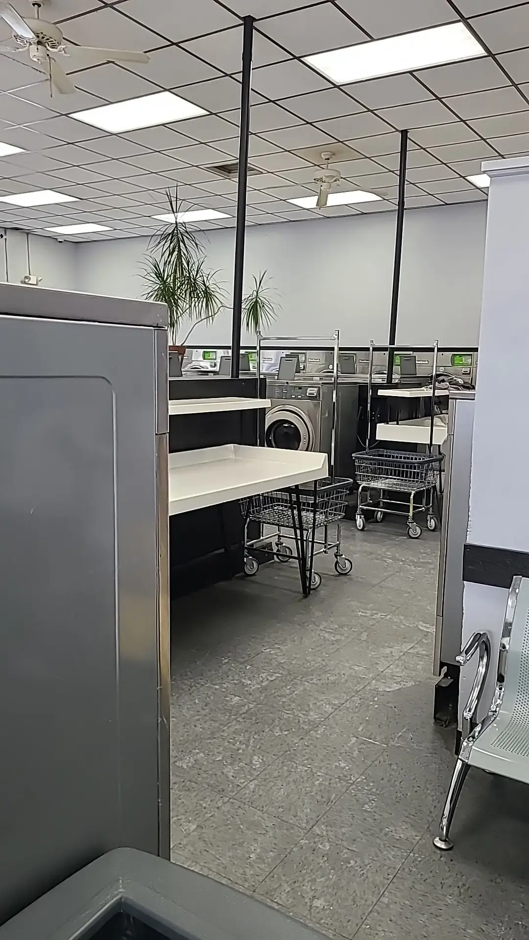 The Laundry Room - Image 4