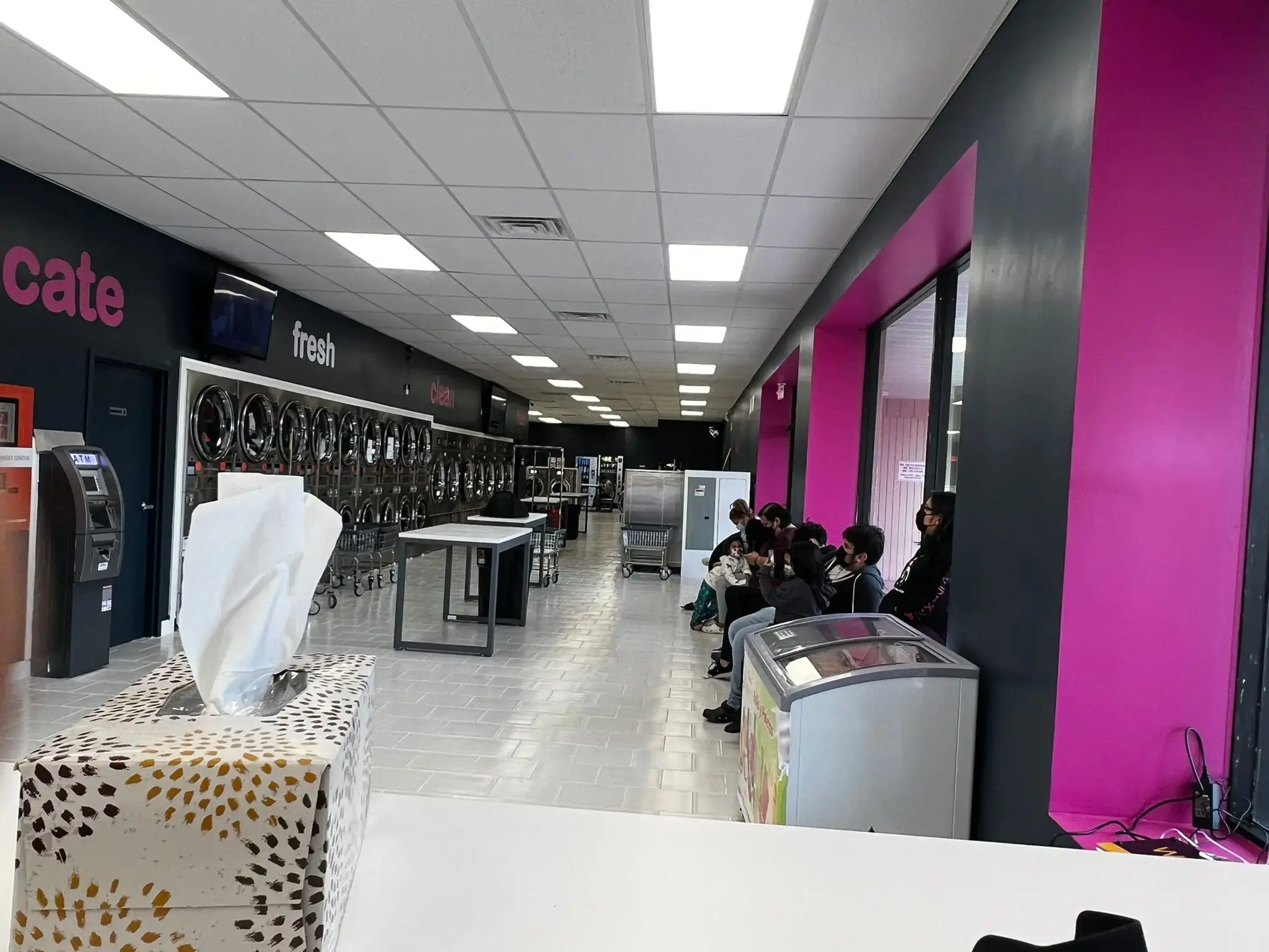 The Laundry Wagon - Image 7