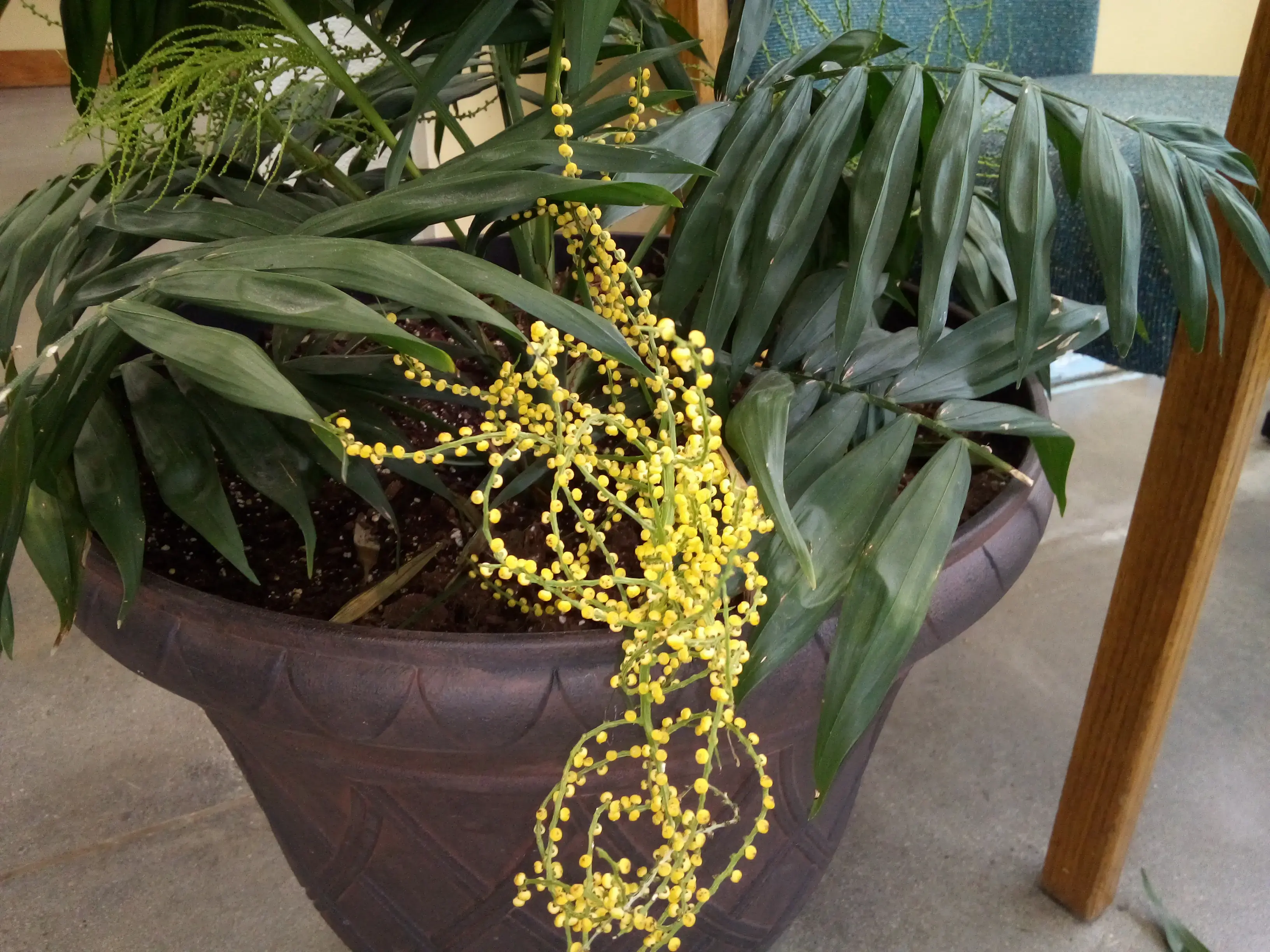 The Lifestyle Laundry Co - Image 4