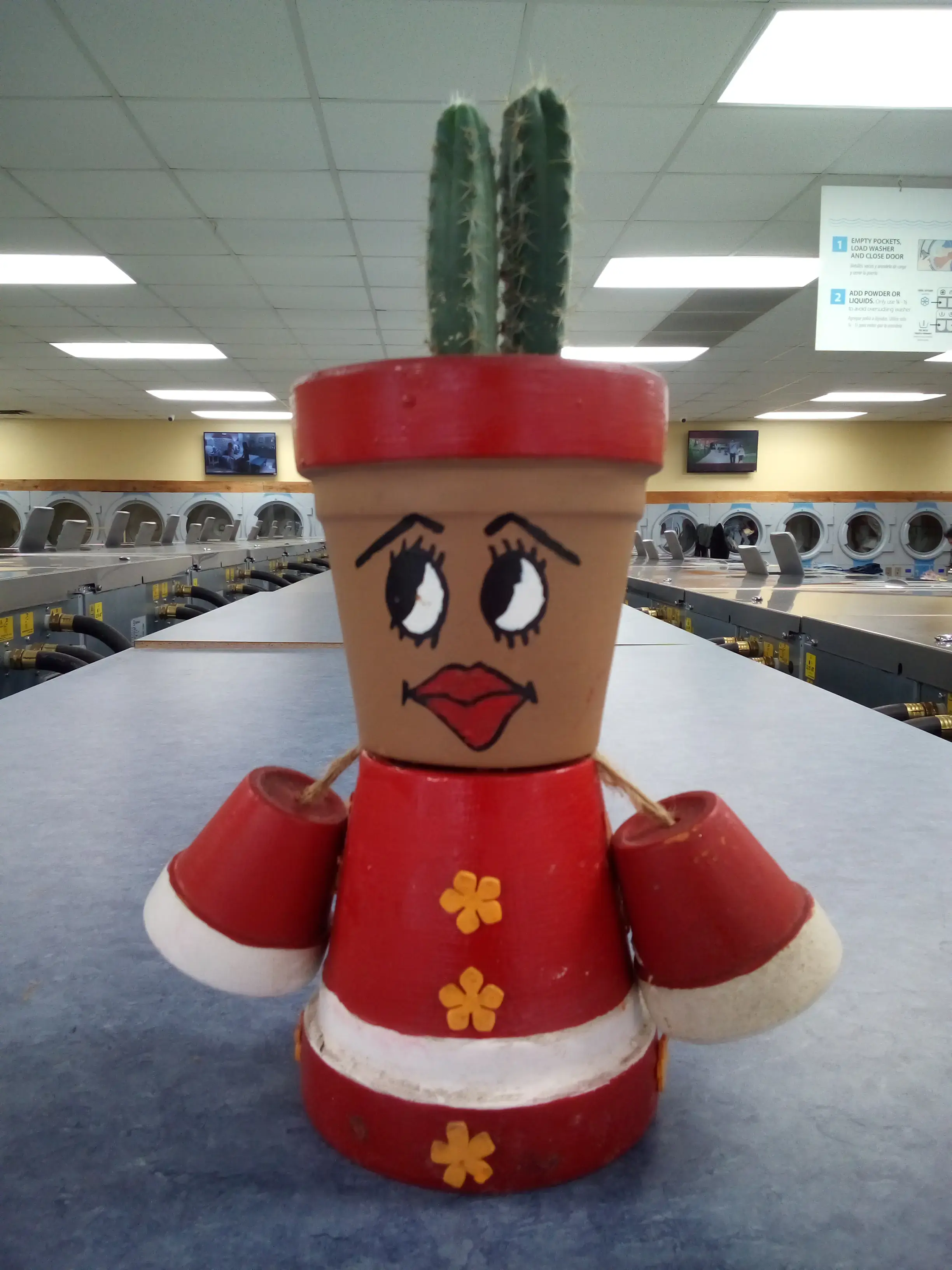 The Lifestyle Laundry Co thumbnail 5