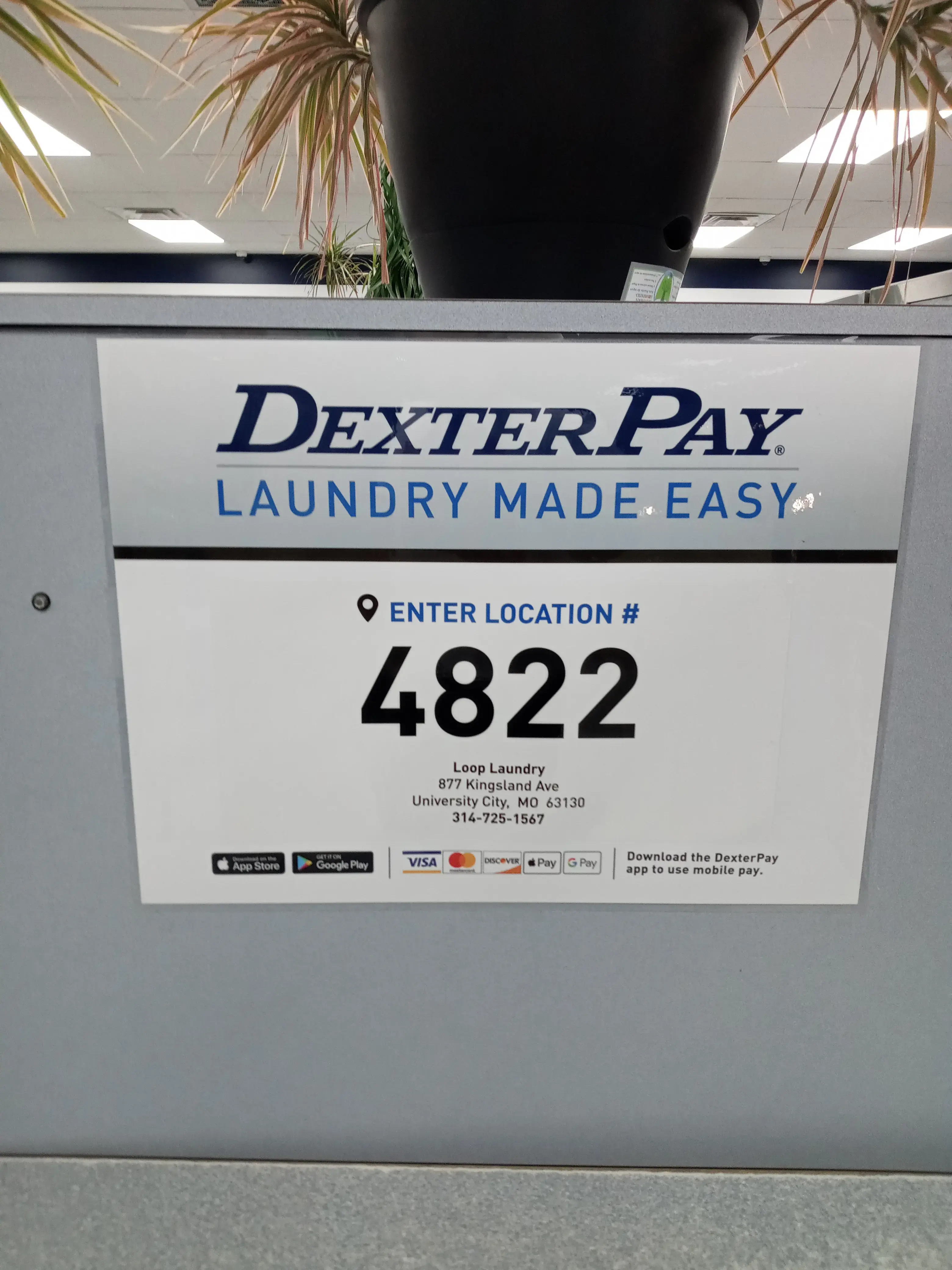 The Loop Laundry - Image 19
