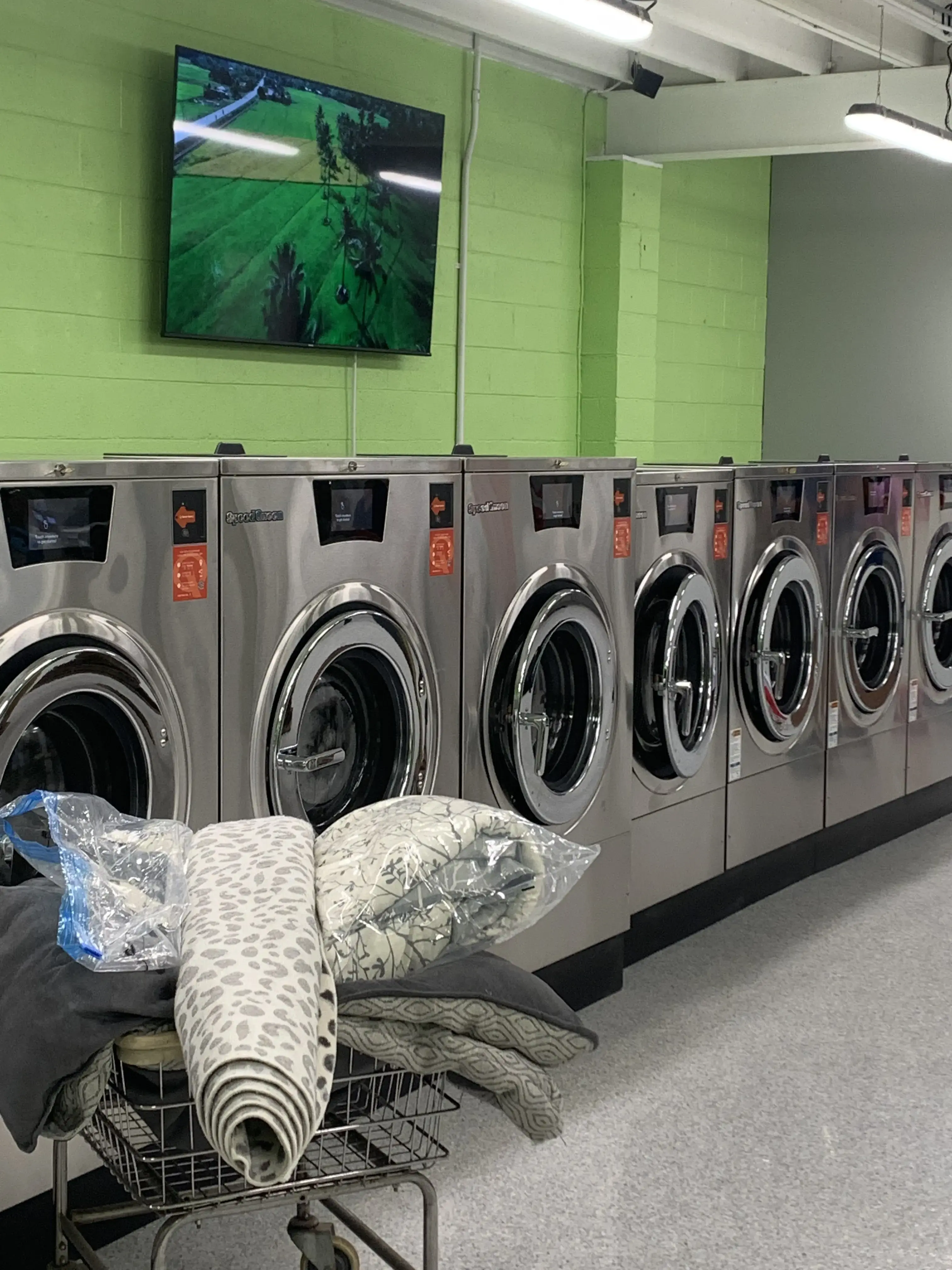 The Mat - Boulder Creek Laundry - Image 19