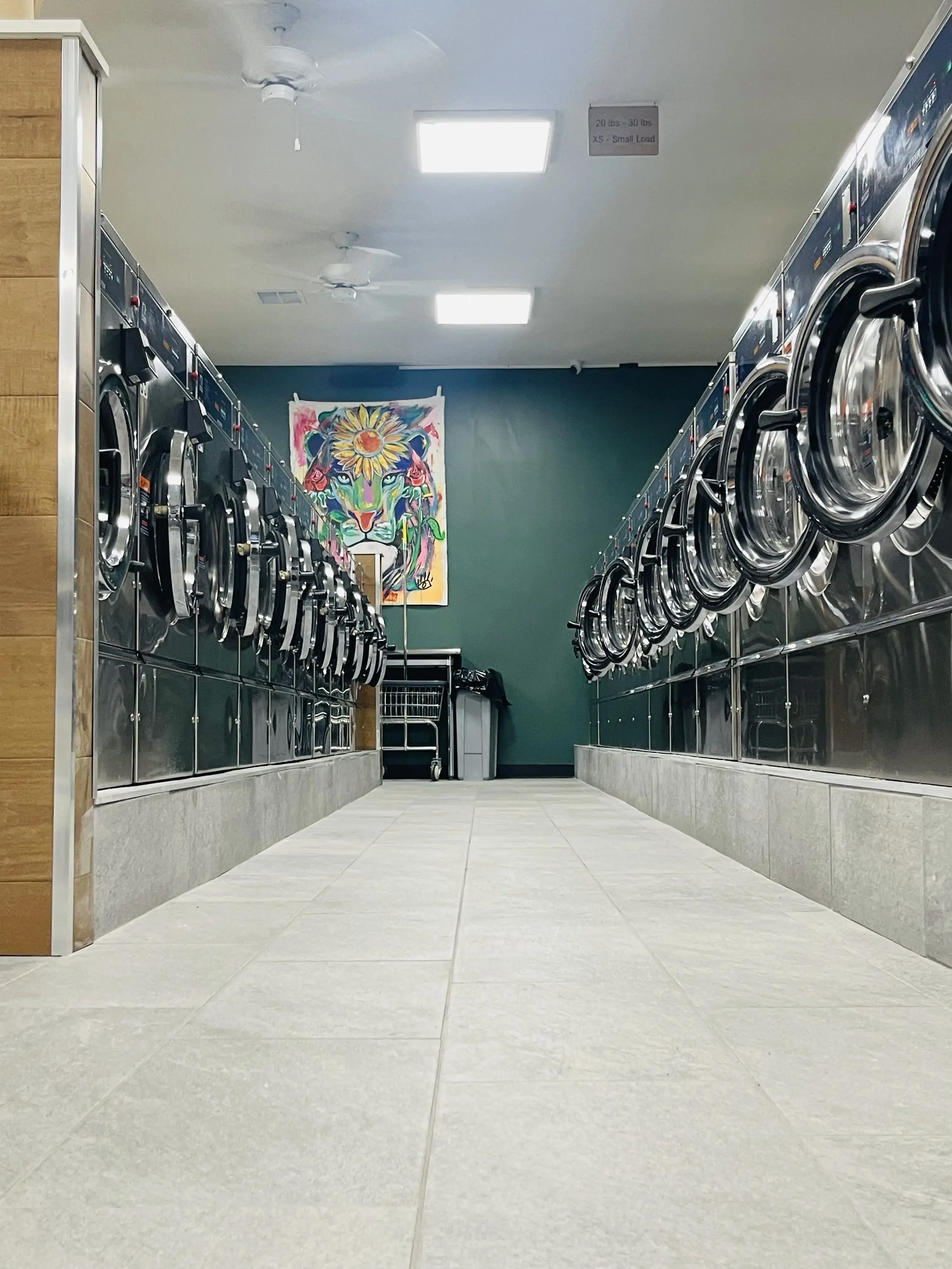 The Perfect Laundromat - Image 9