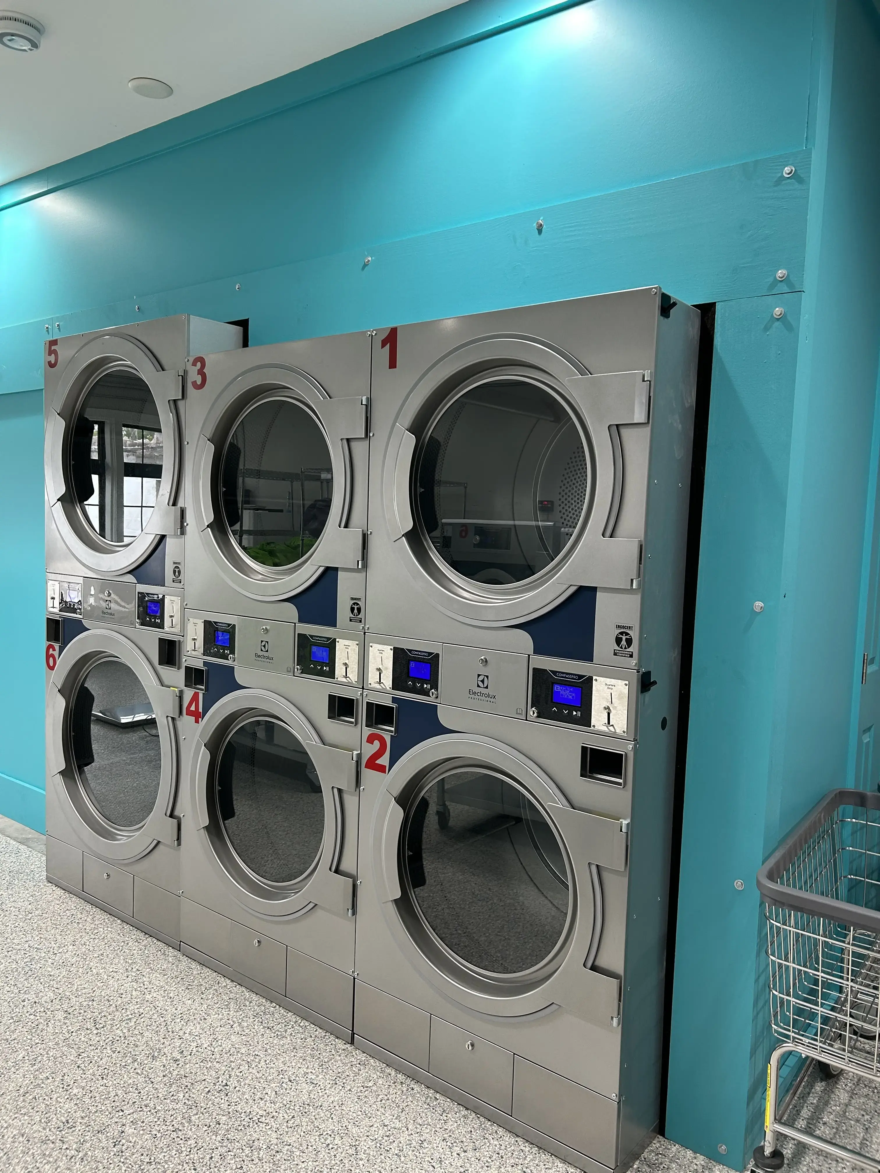 The Queen's Laundry thumbnail 4