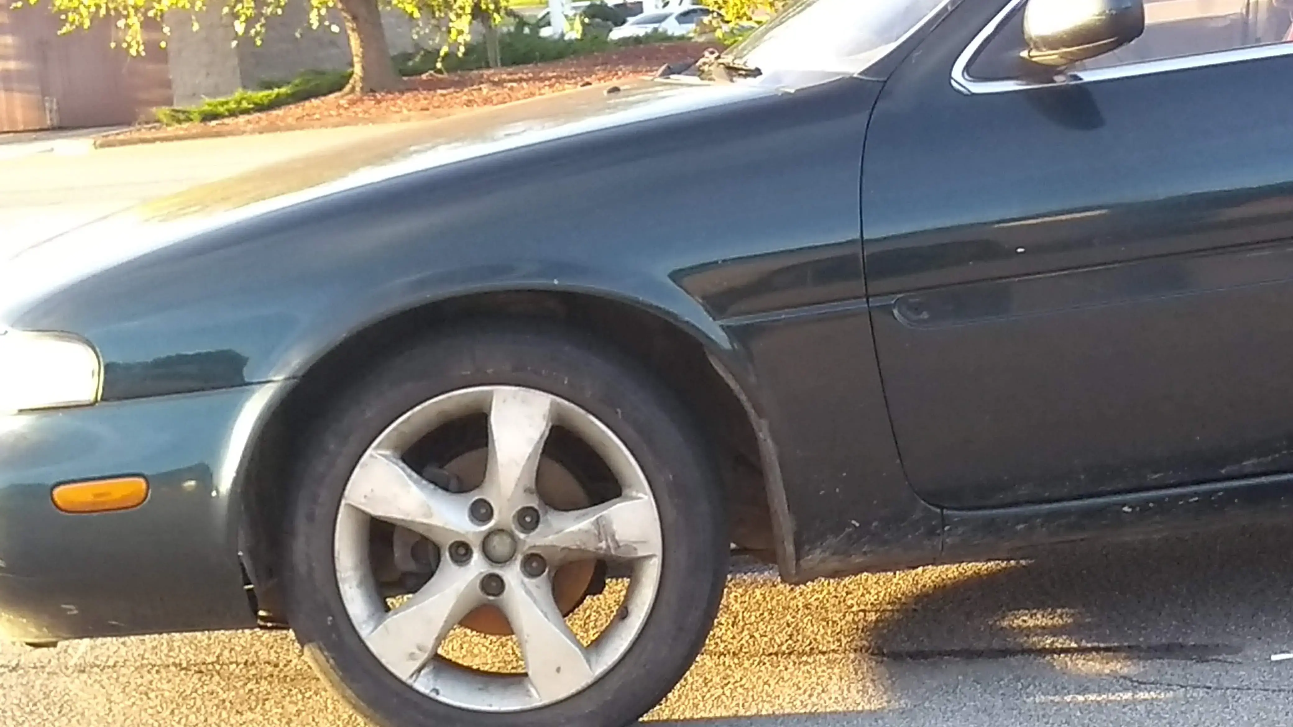 The Sullied Duck COIN & CARD LAUNDRY thumbnail 12