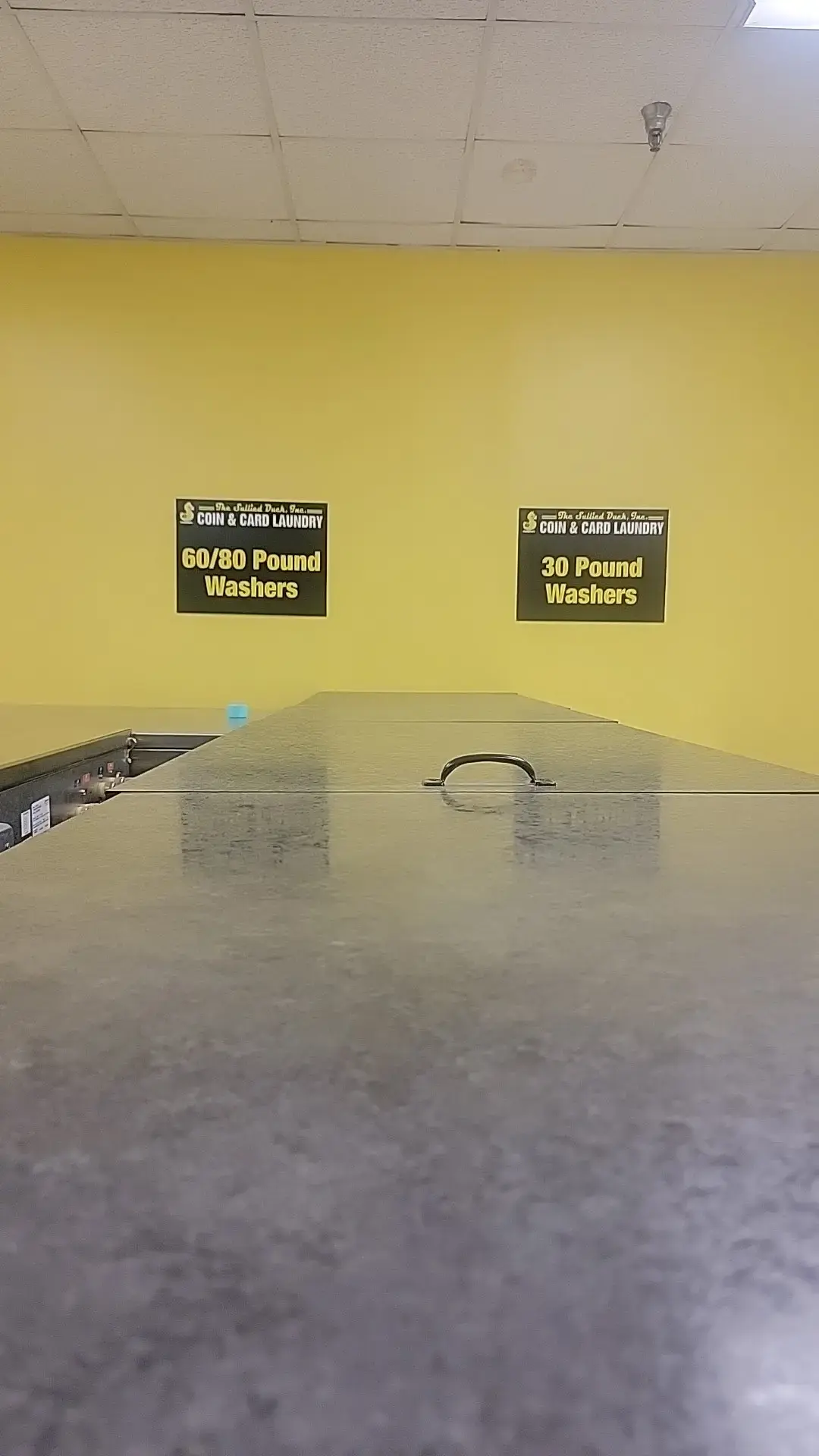 The Sullied Duck COIN & CARD LAUNDRY thumbnail 18