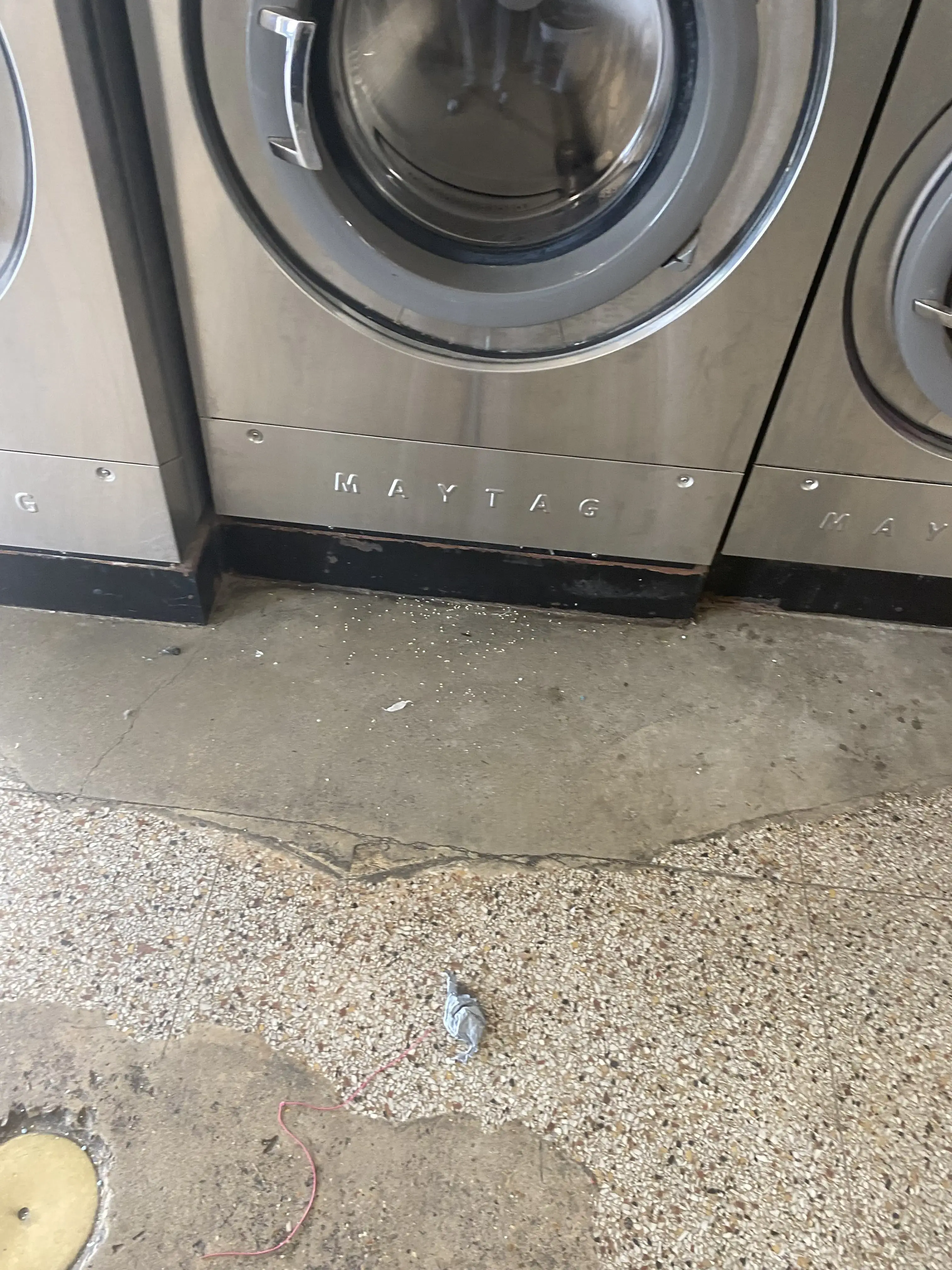 The Sunshine Center thumbnail 8