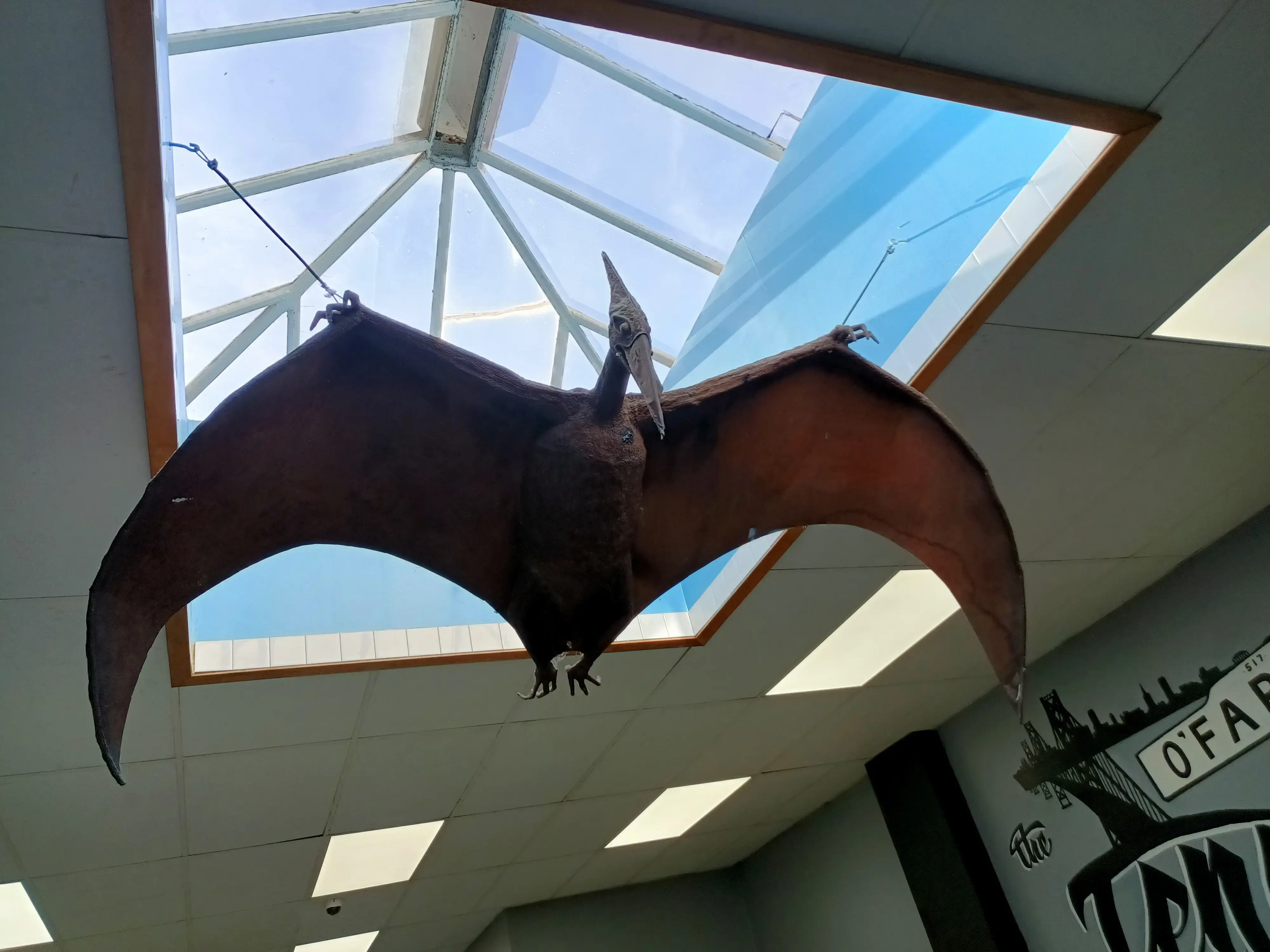 The TL Laundromat & Wash and Fold (NO CAFE) - Image 18