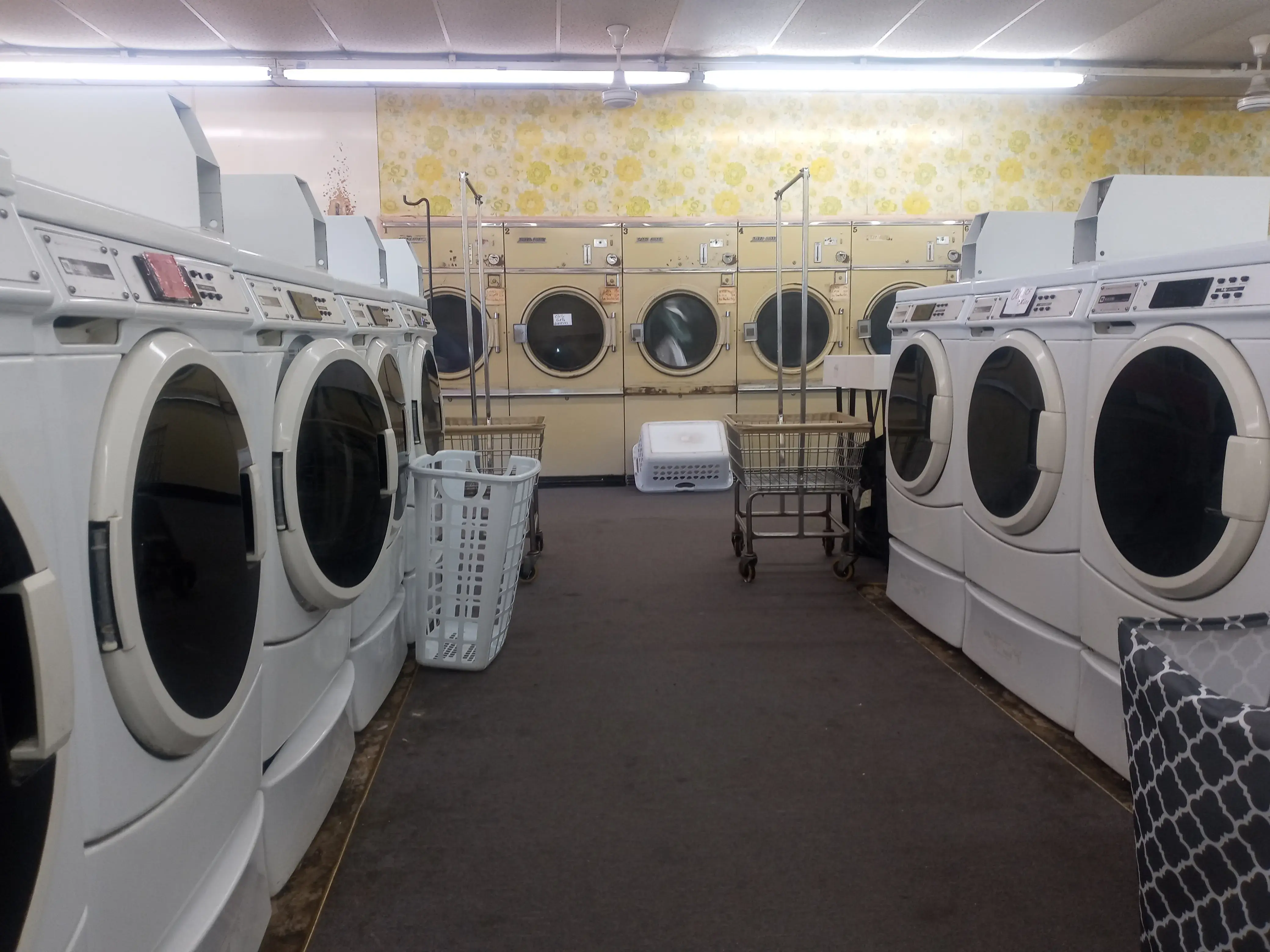 The Village Coin Laundromat thumbnail 19