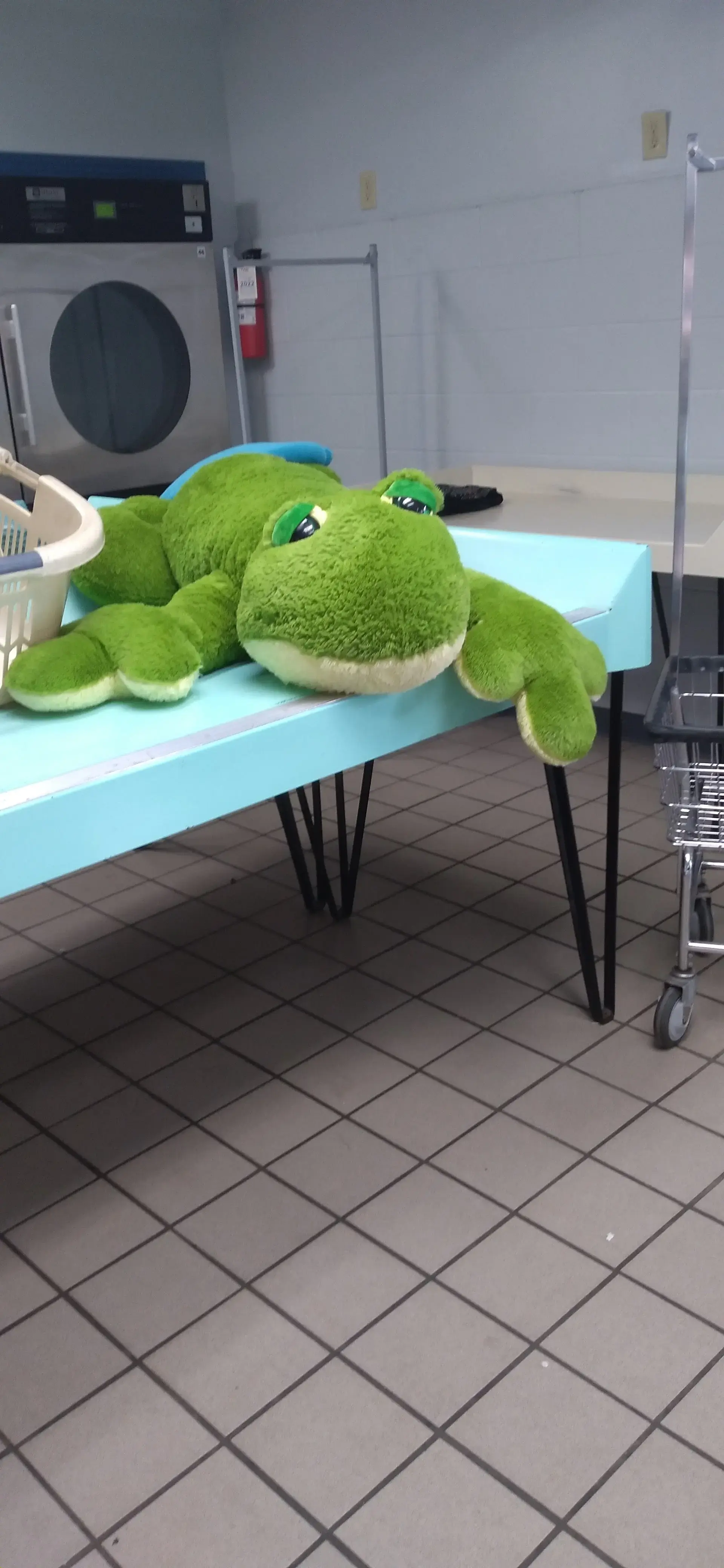 The Walton Laundromat thumbnail 12