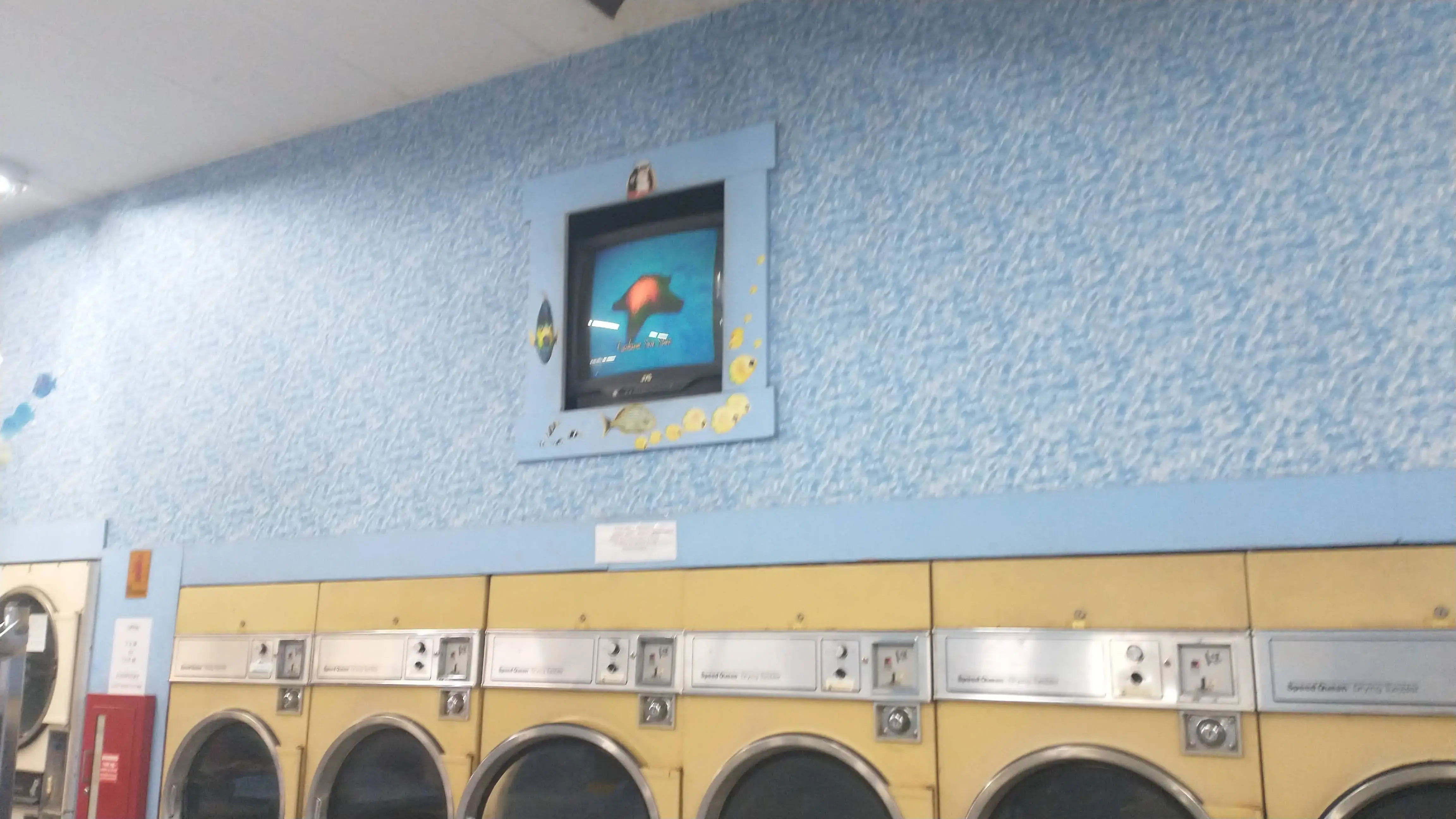 The Wash and Dry Place - Image 11