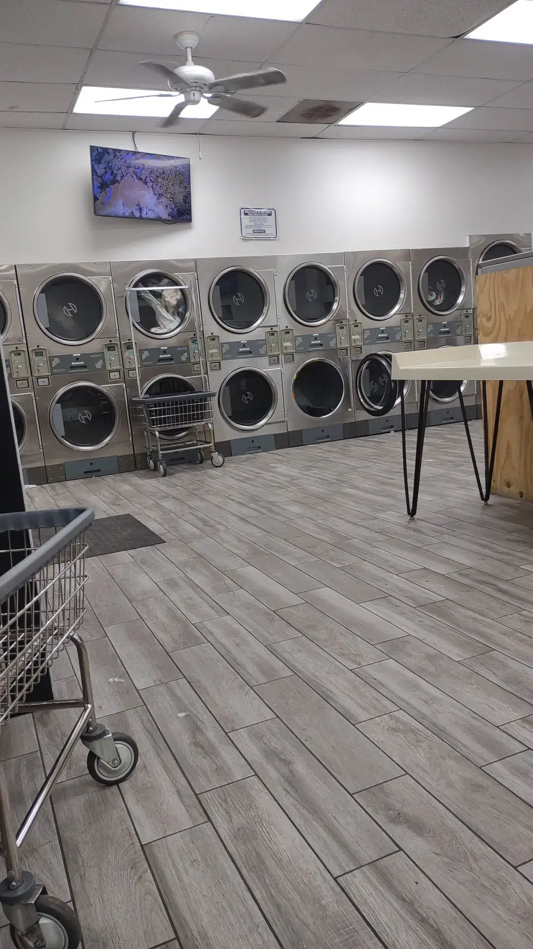 The Wash Bucket thumbnail 19