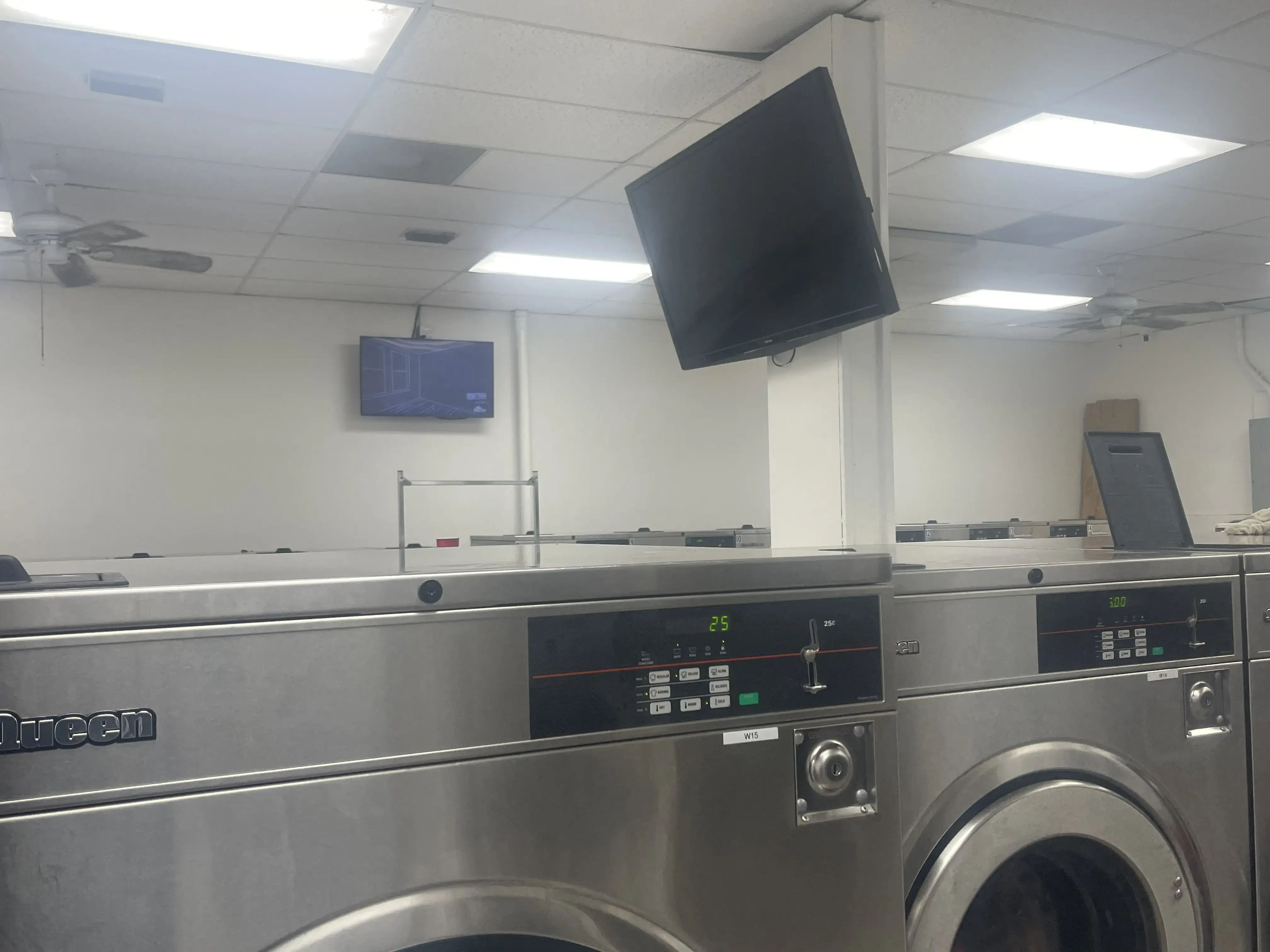 The Wash Bucket - Image 15