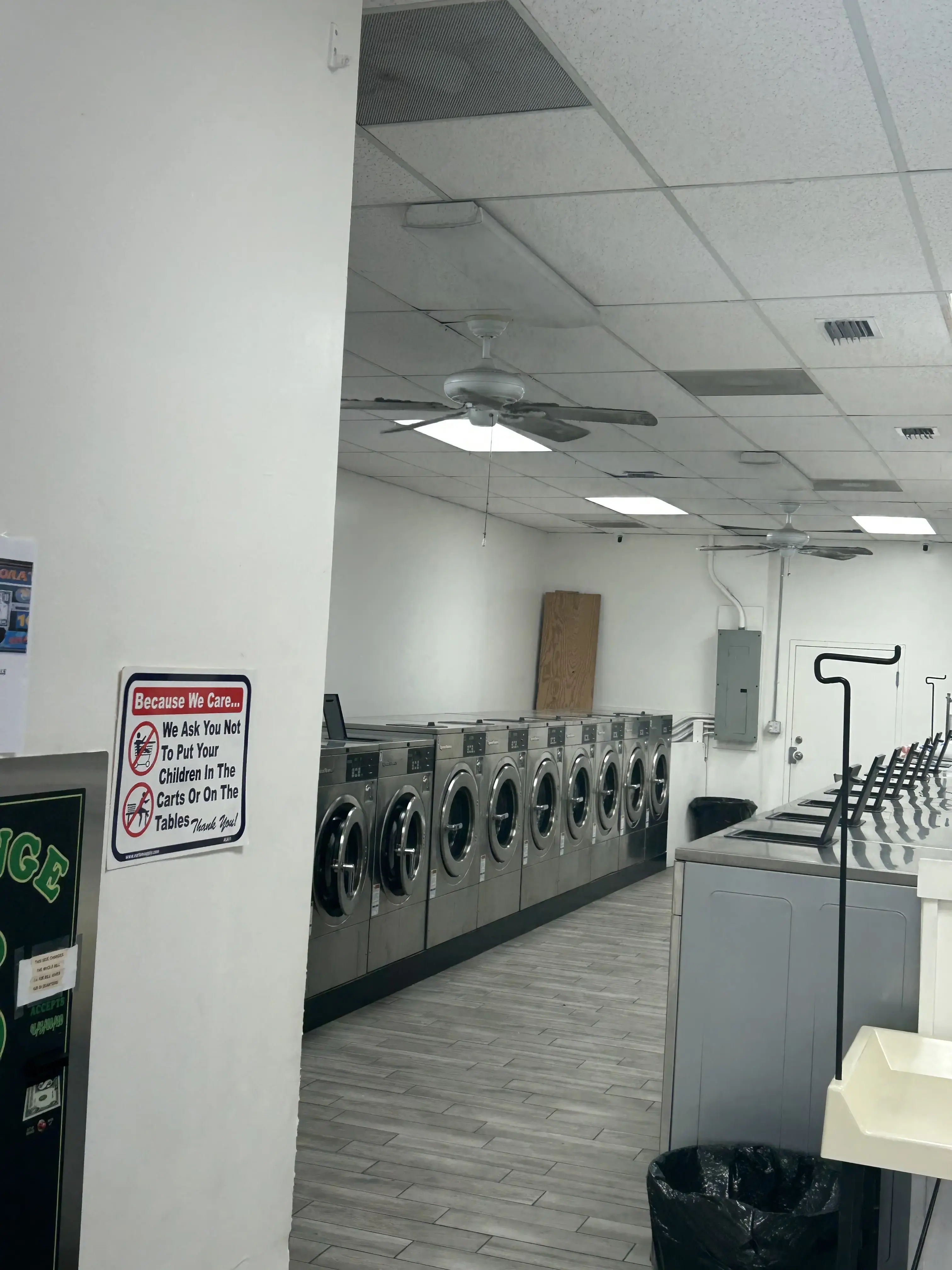 The Wash Bucket - Image 14