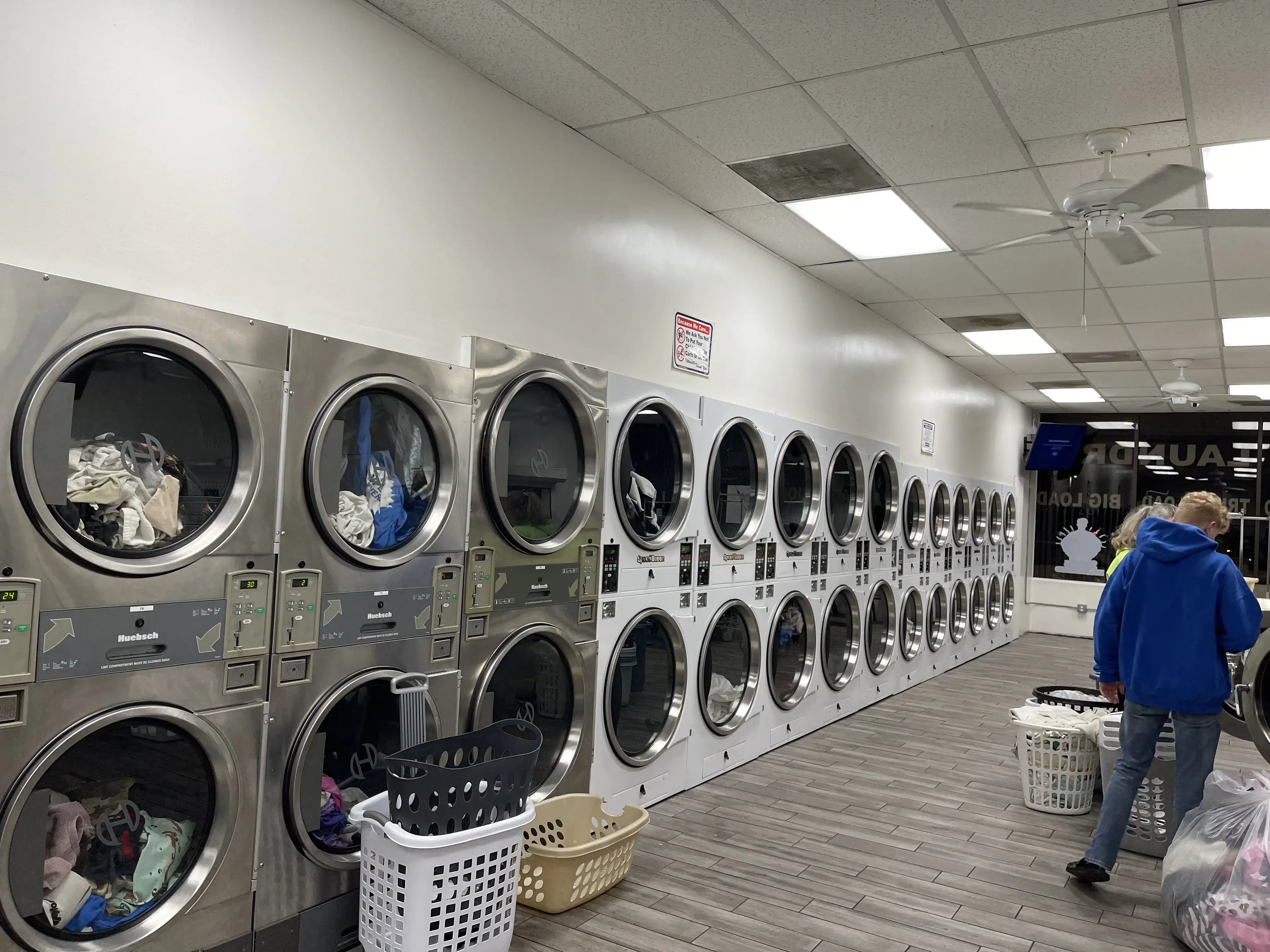 The Wash Bucket - Image 2